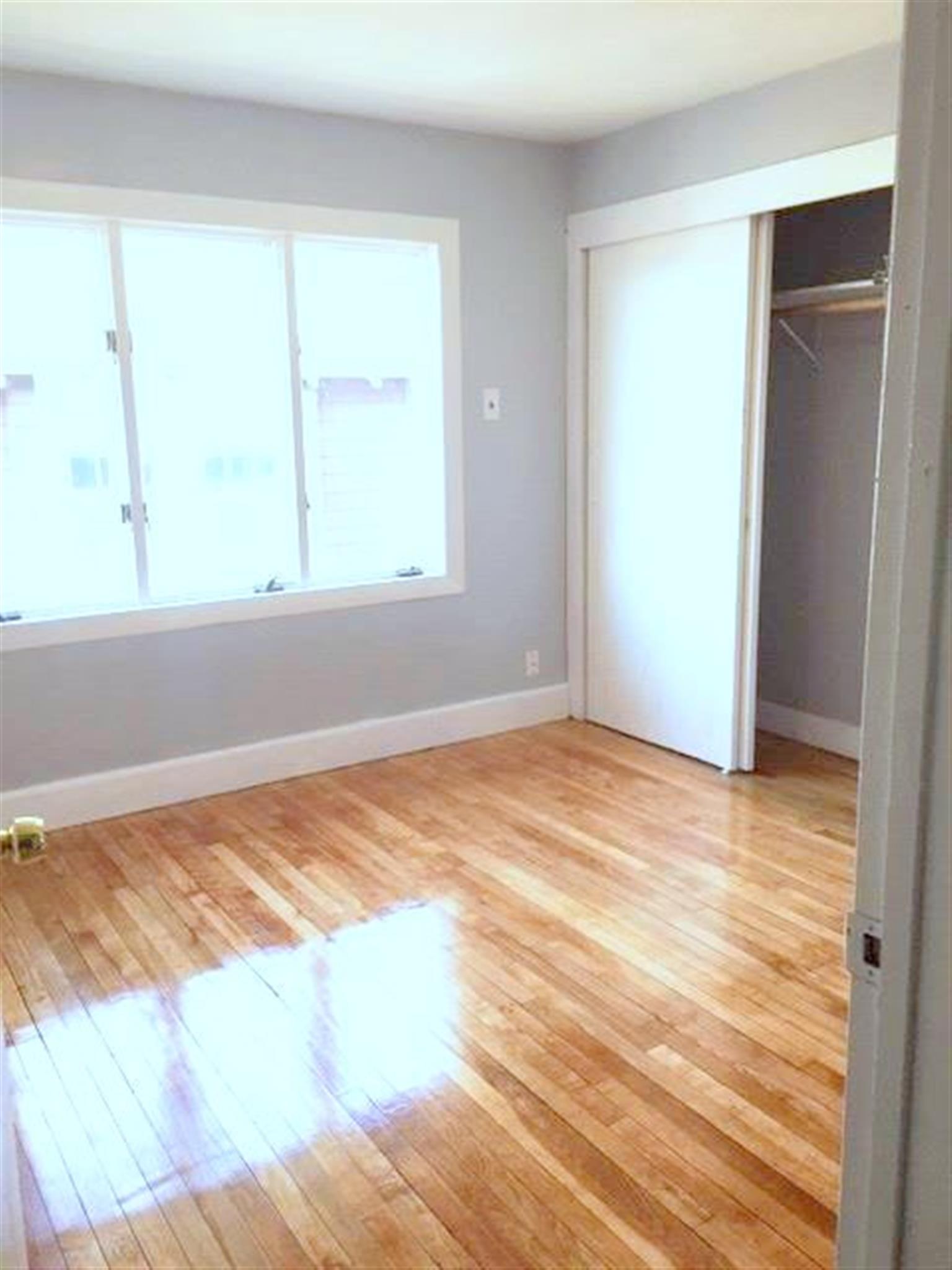 62 Woods, Davis Square