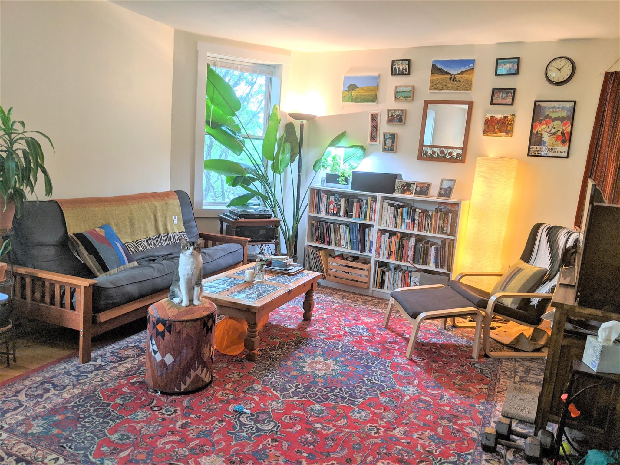 35 Davis Sq, Davis Square