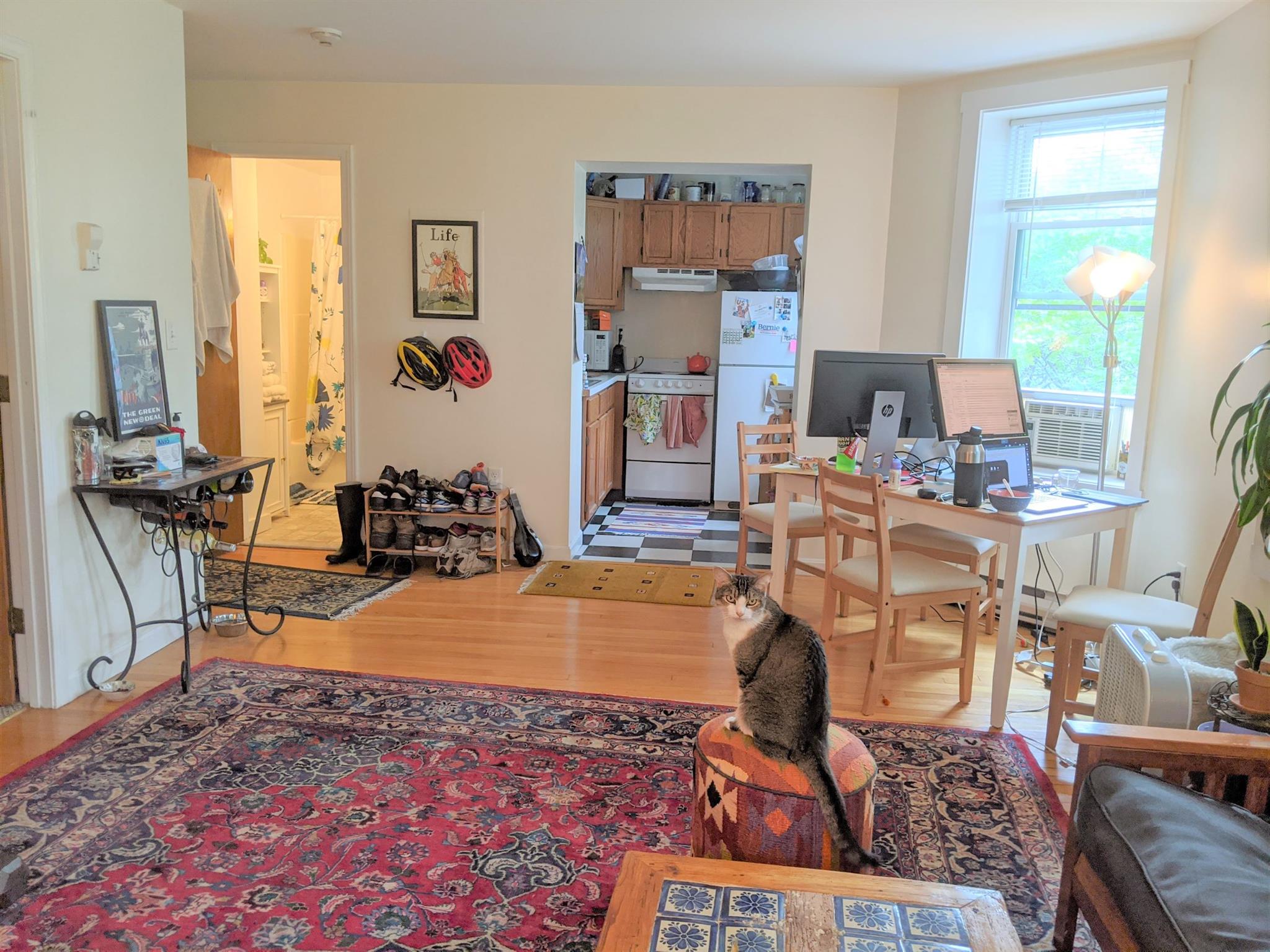 35 Davis Sq, Davis Square