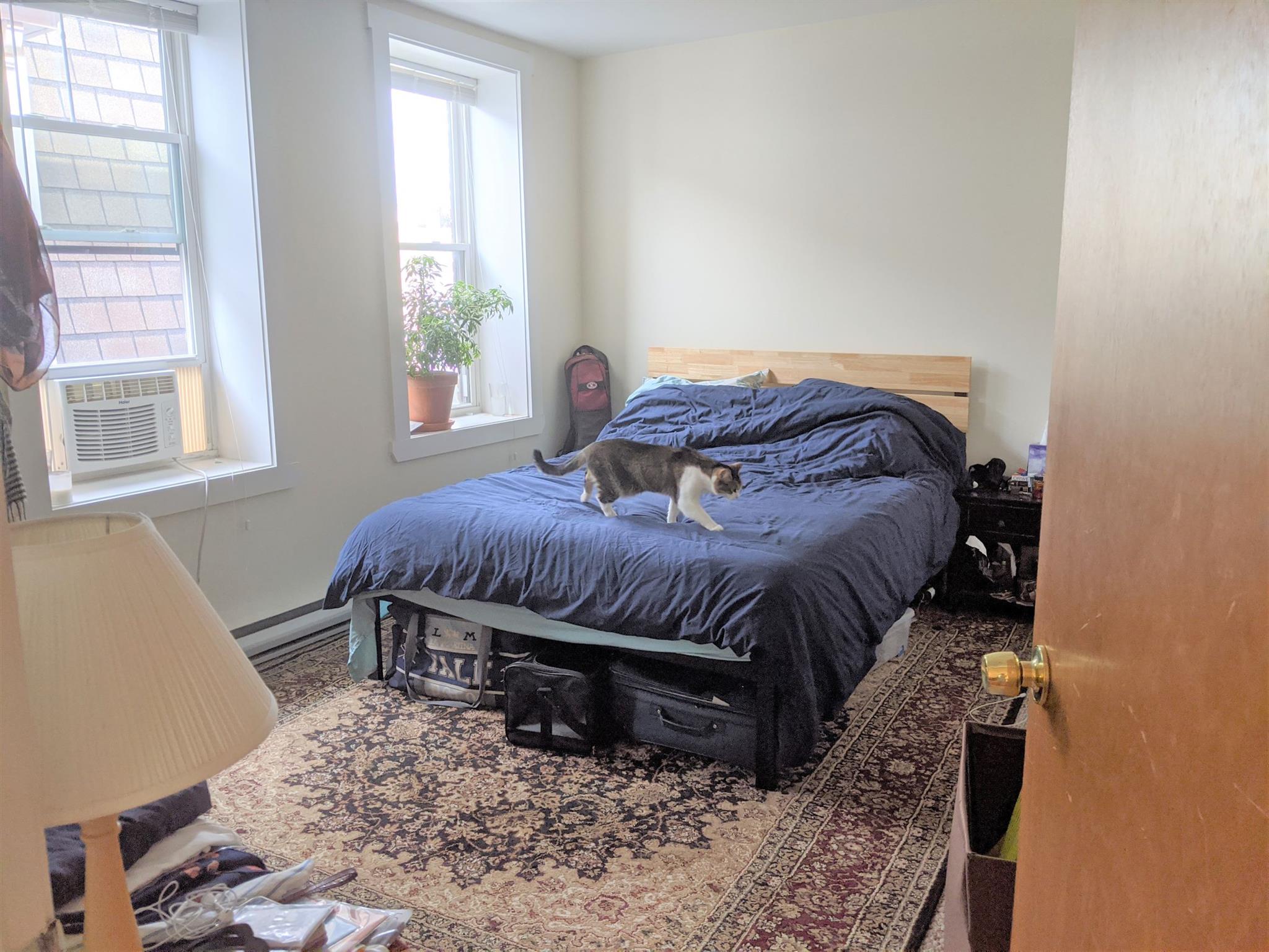 35 Davis Sq, Davis Square