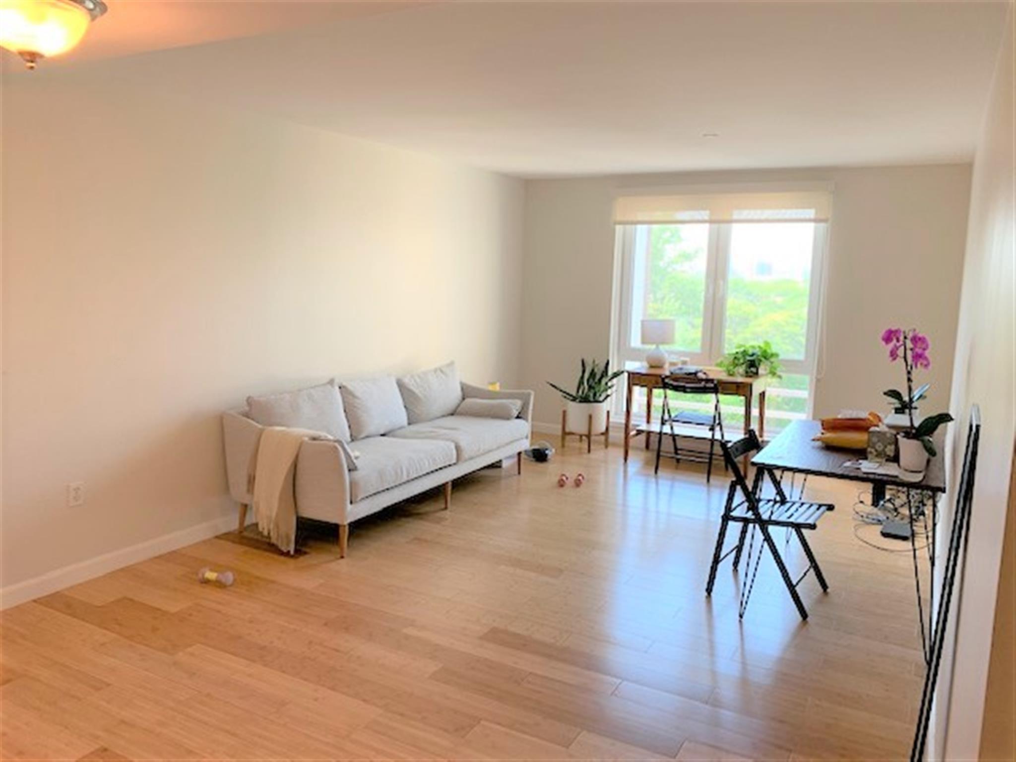 1008 Massachusetts Ave, Harvard Square