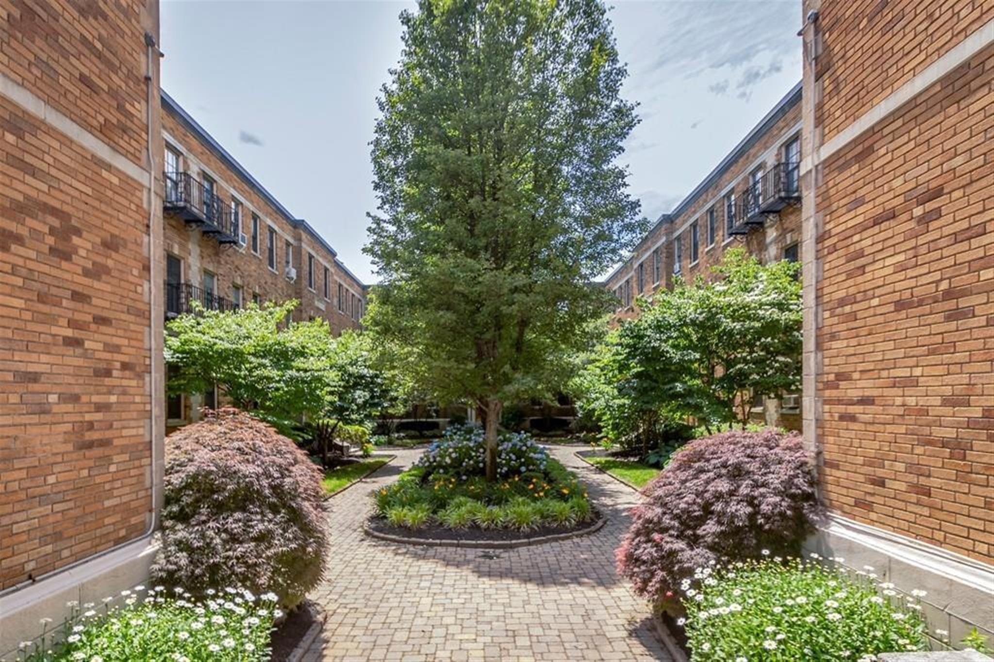 852 Massachusetts Ave, Cambridgeport