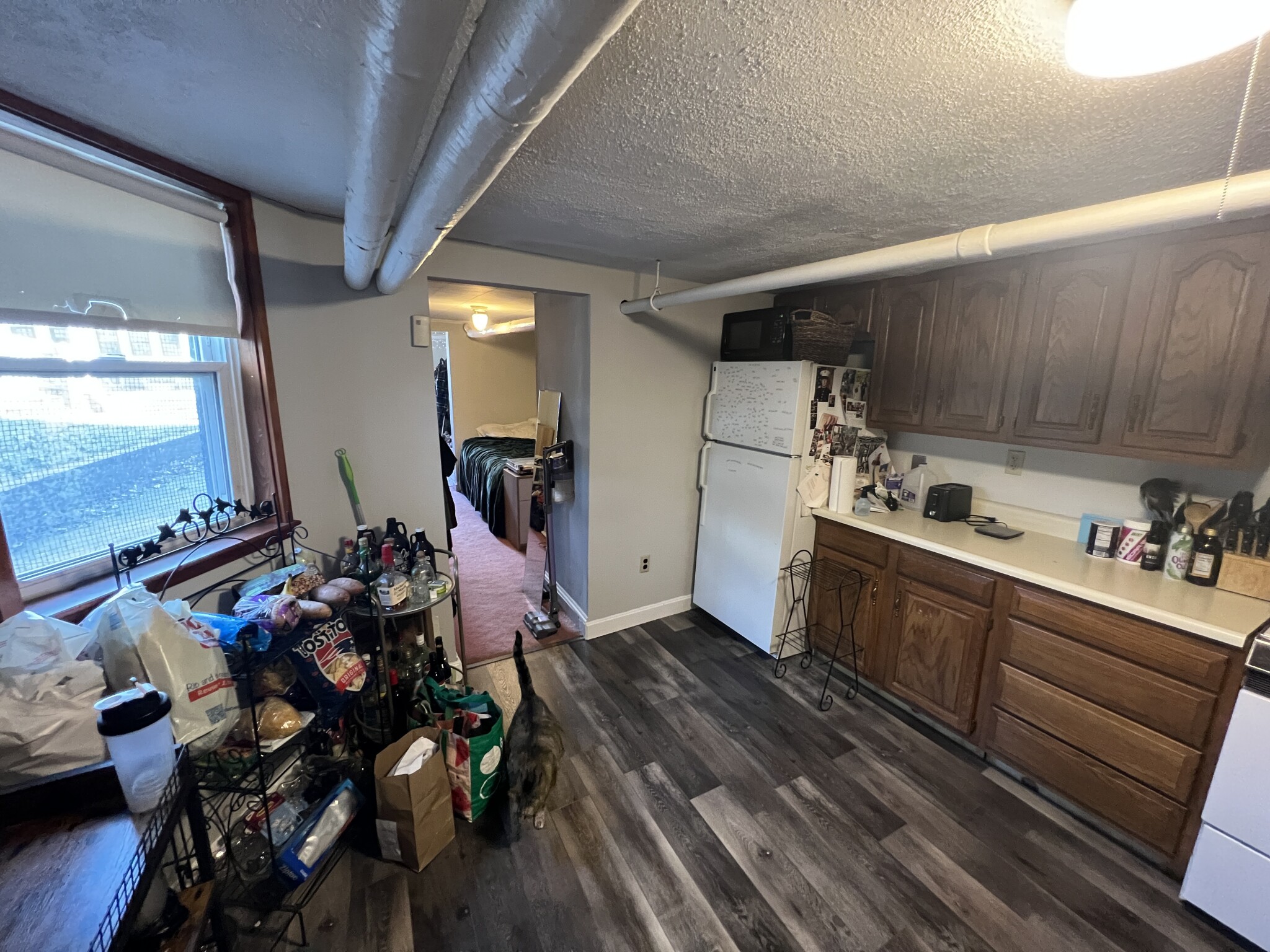 27 Cameron Ave, North Cambridge