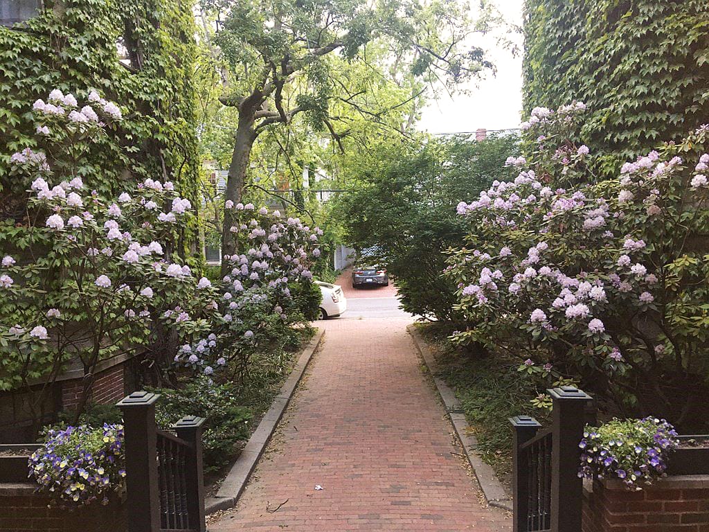 12 Remington St, Harvard Square