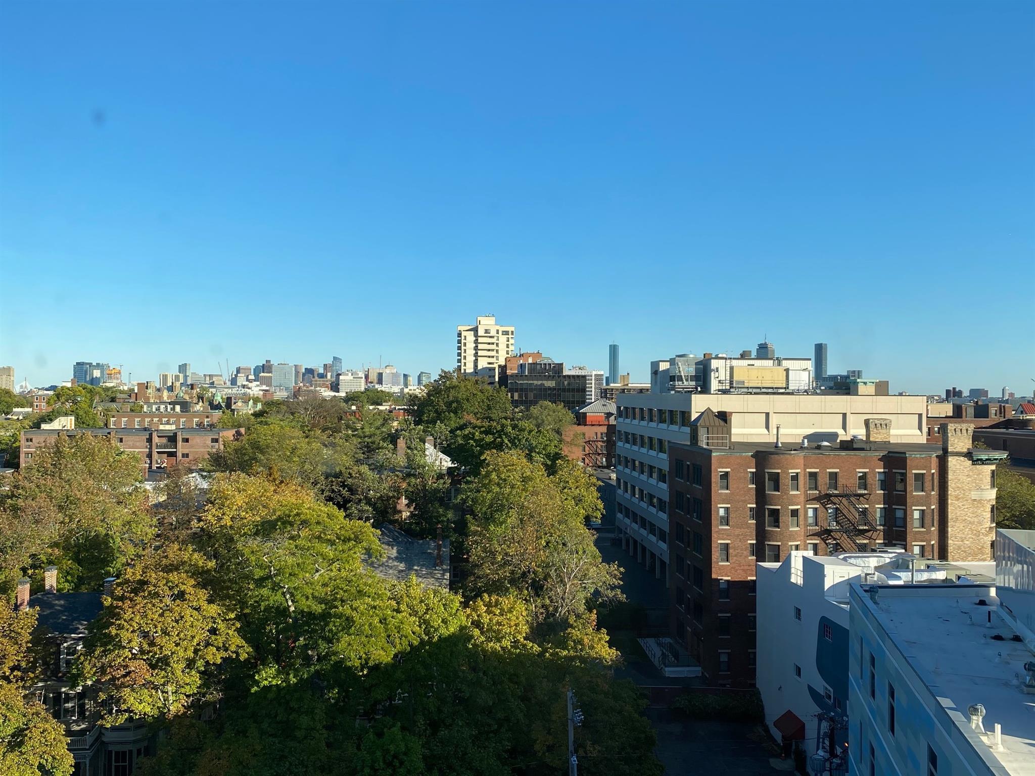 1105 Massachusetts Ave, Harvard Square