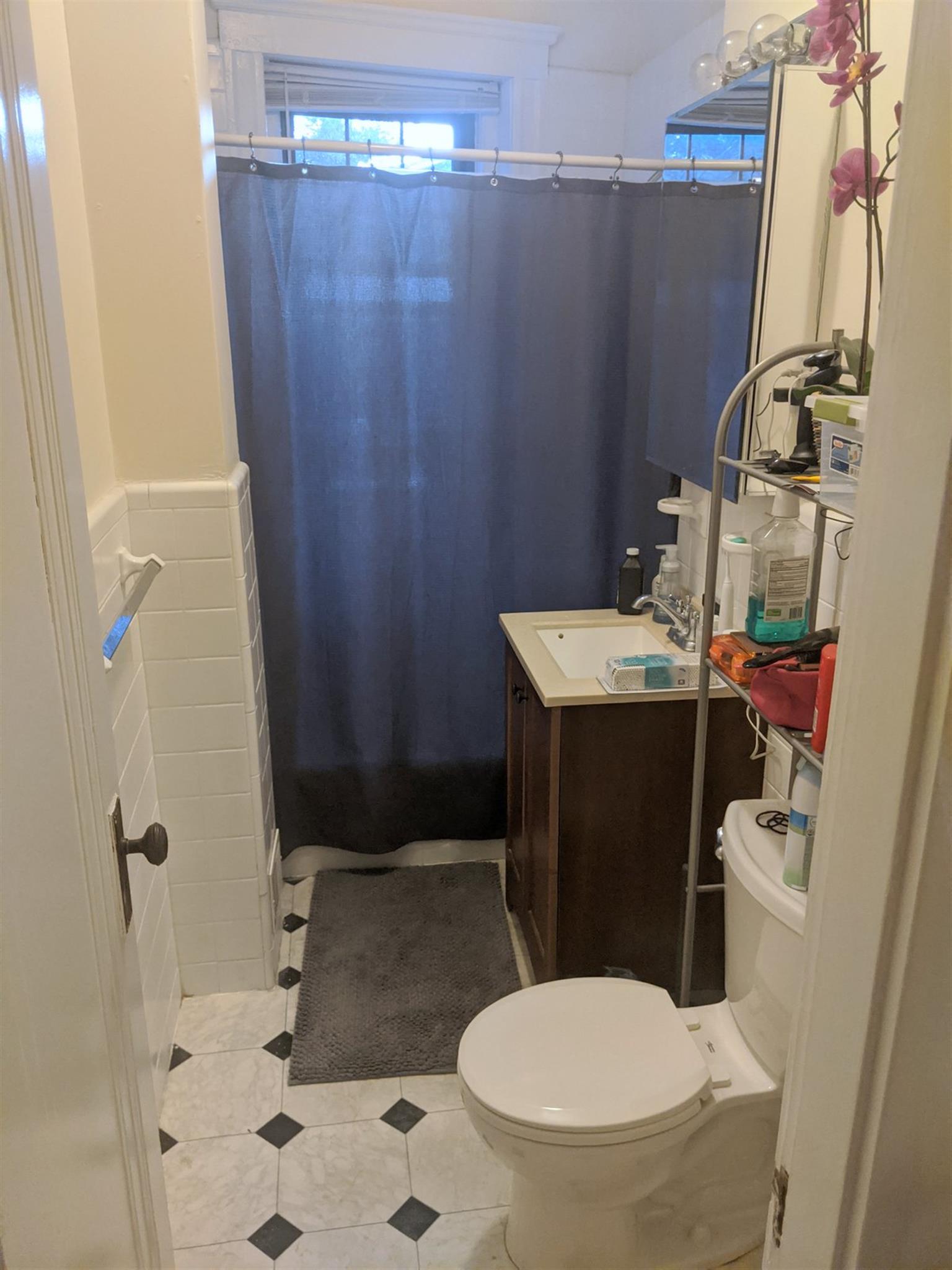 1558 Massachusetts Ave, Harvard Square