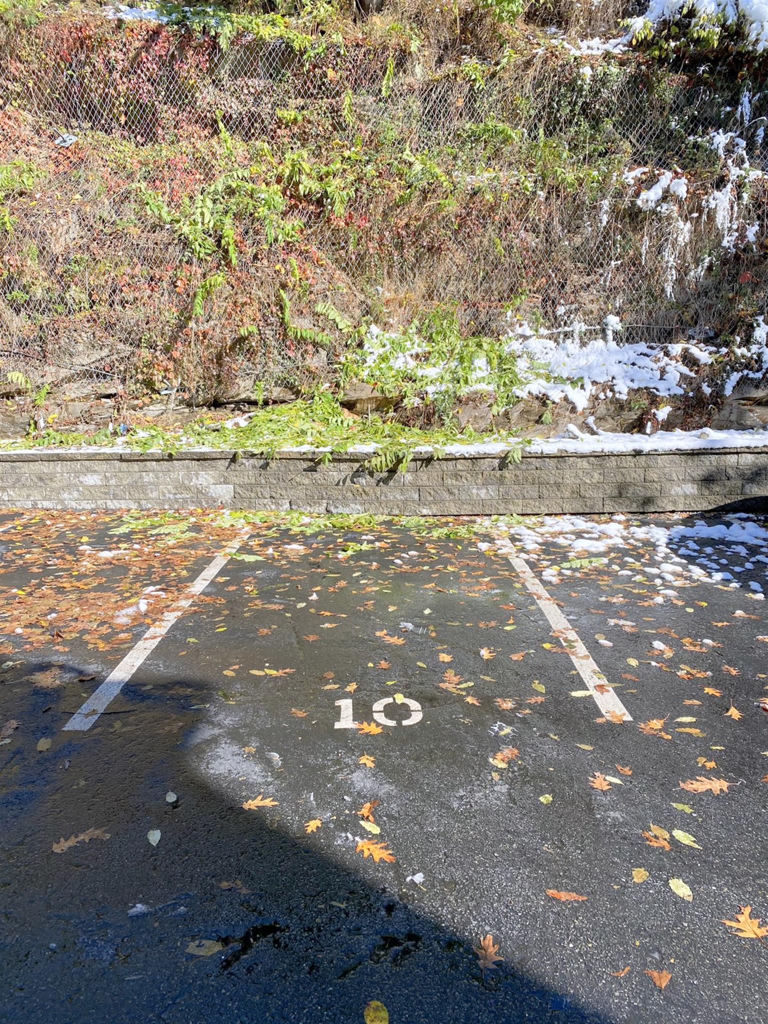 43 Pitman St, Porter Square