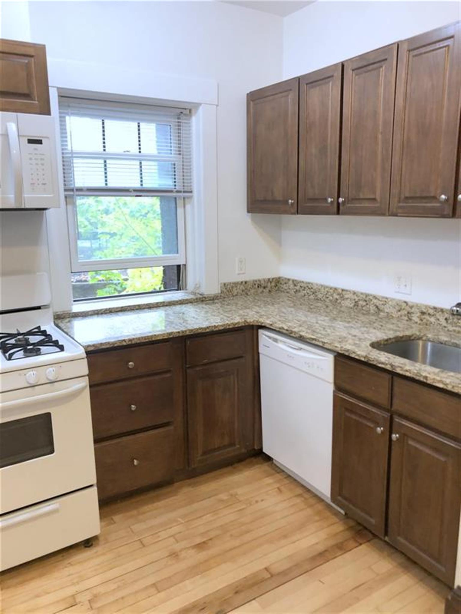 5 Linnaean St, Harvard Square