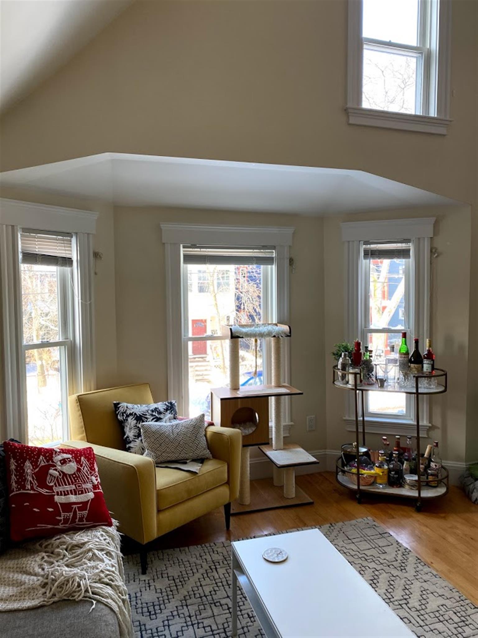 20 Cameron Ave, Davis Square