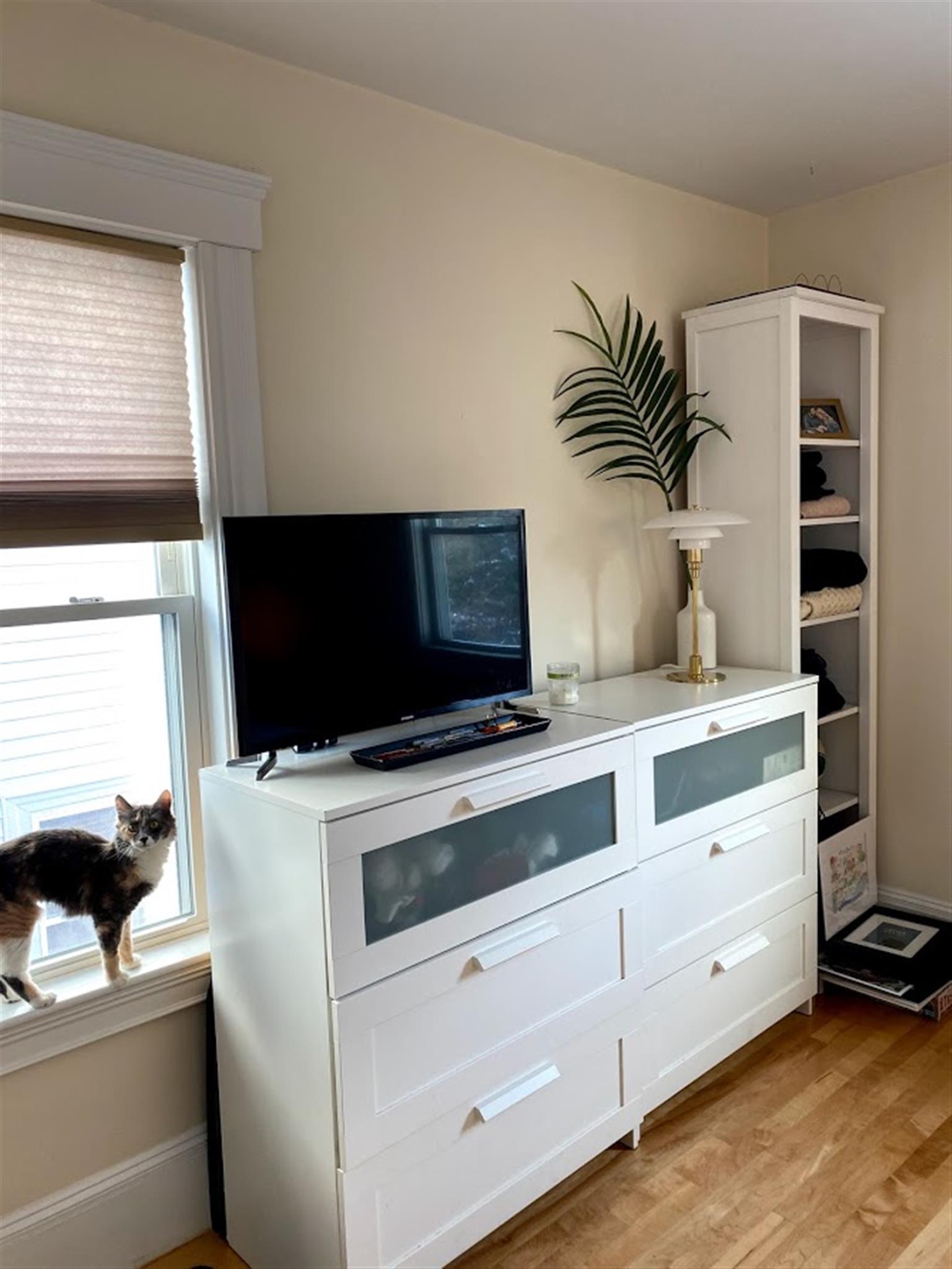 20 Cameron Ave, North Cambridge