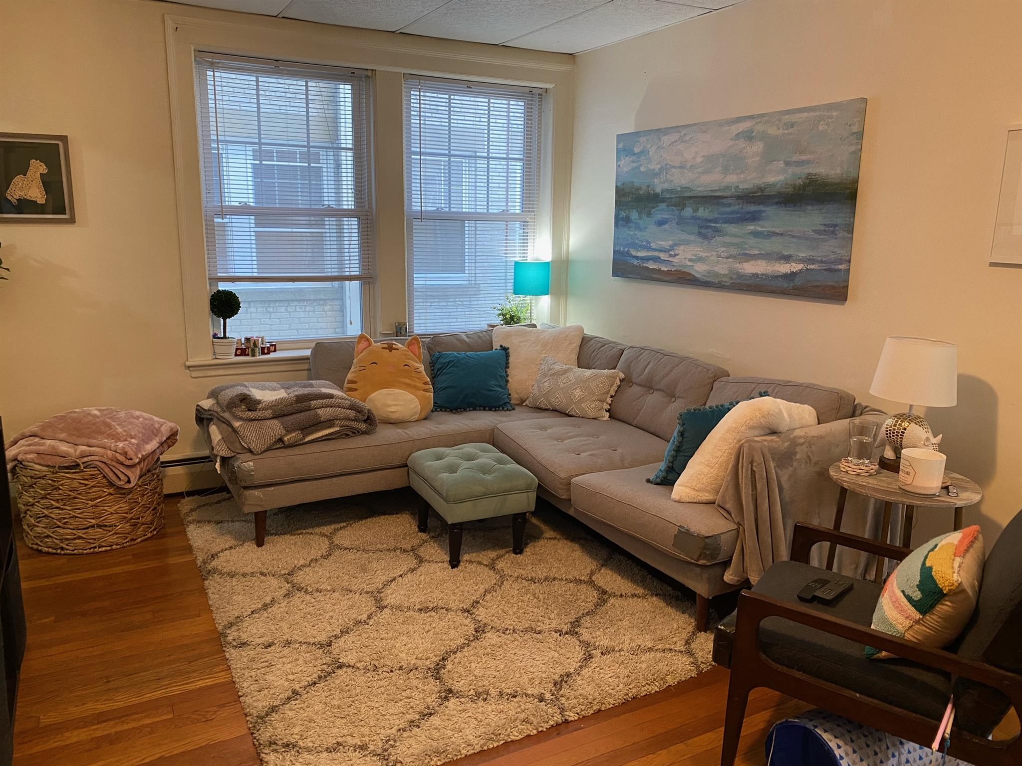 36 College Ave, Davis Square