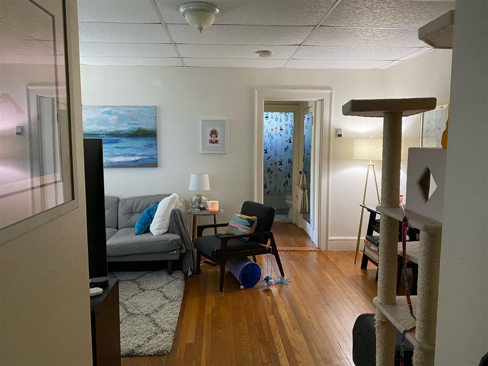 36 College Ave, Davis Square