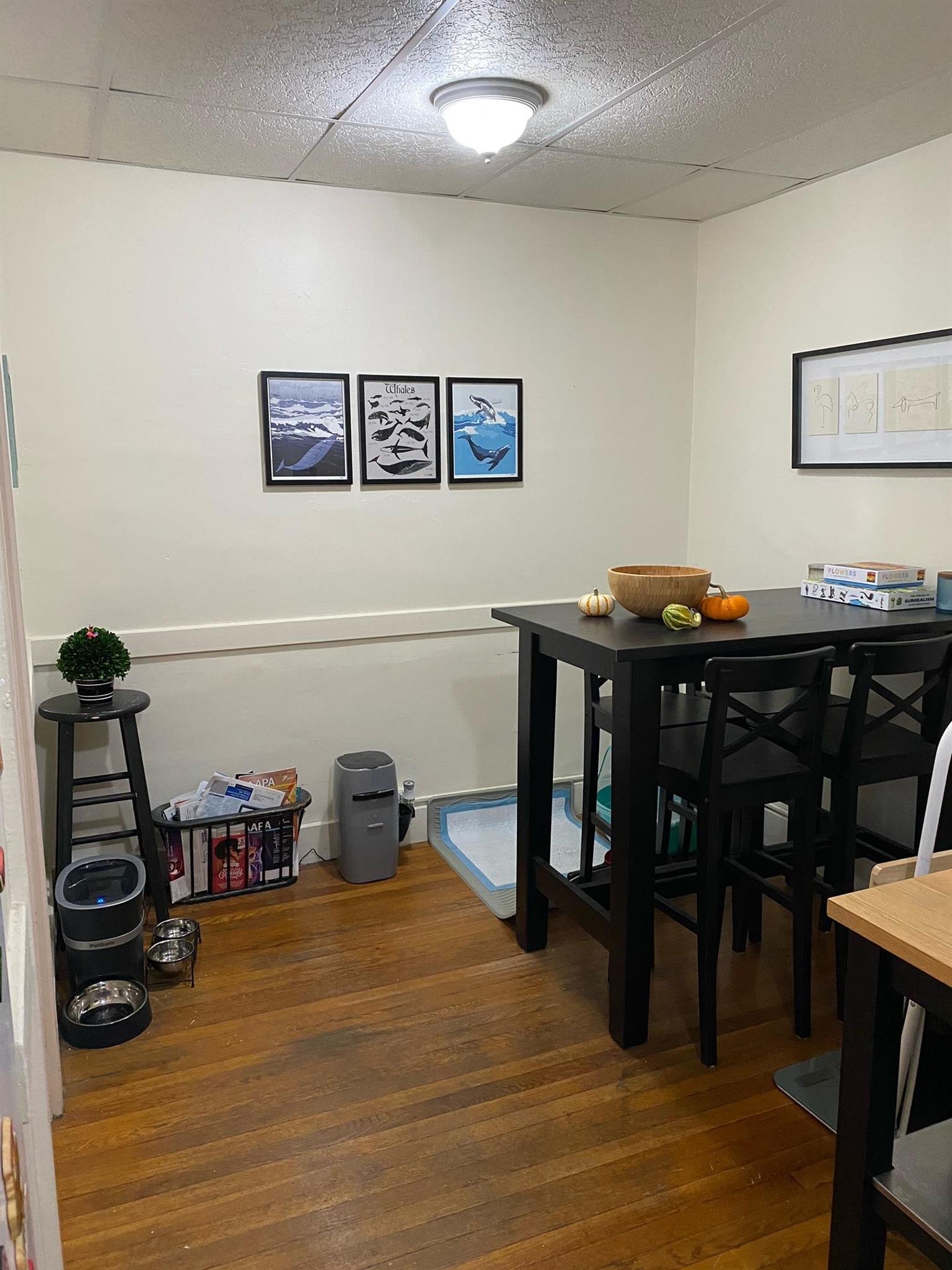 36 College Ave, Davis Square