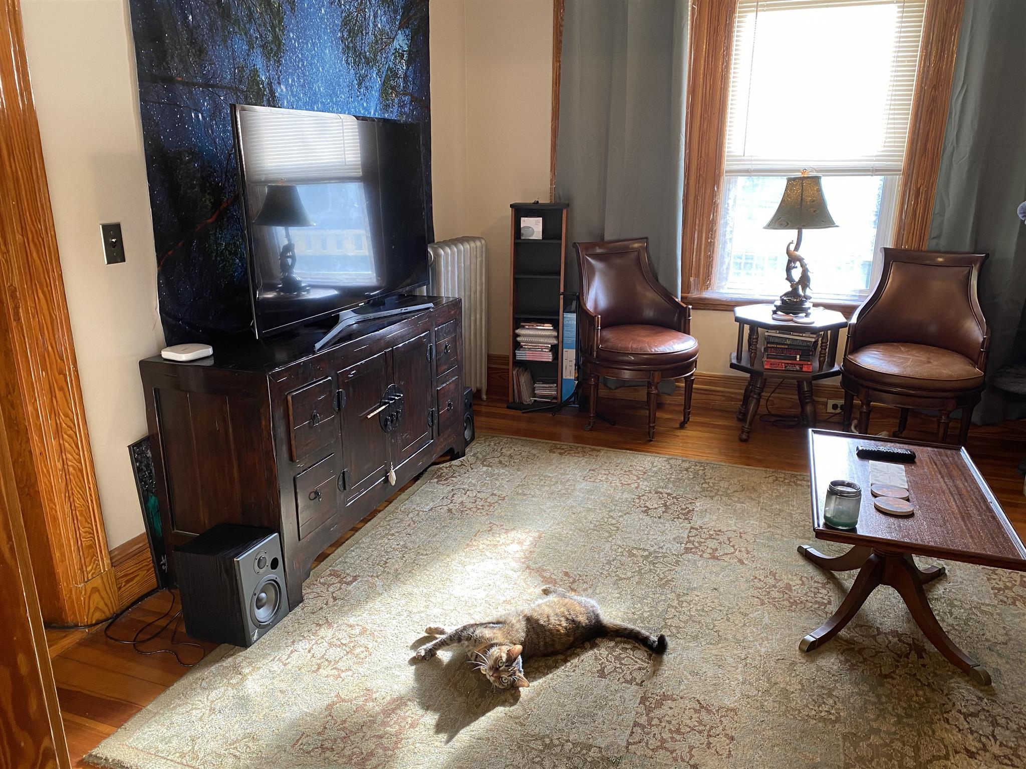 45 Clanderon, Davis Square