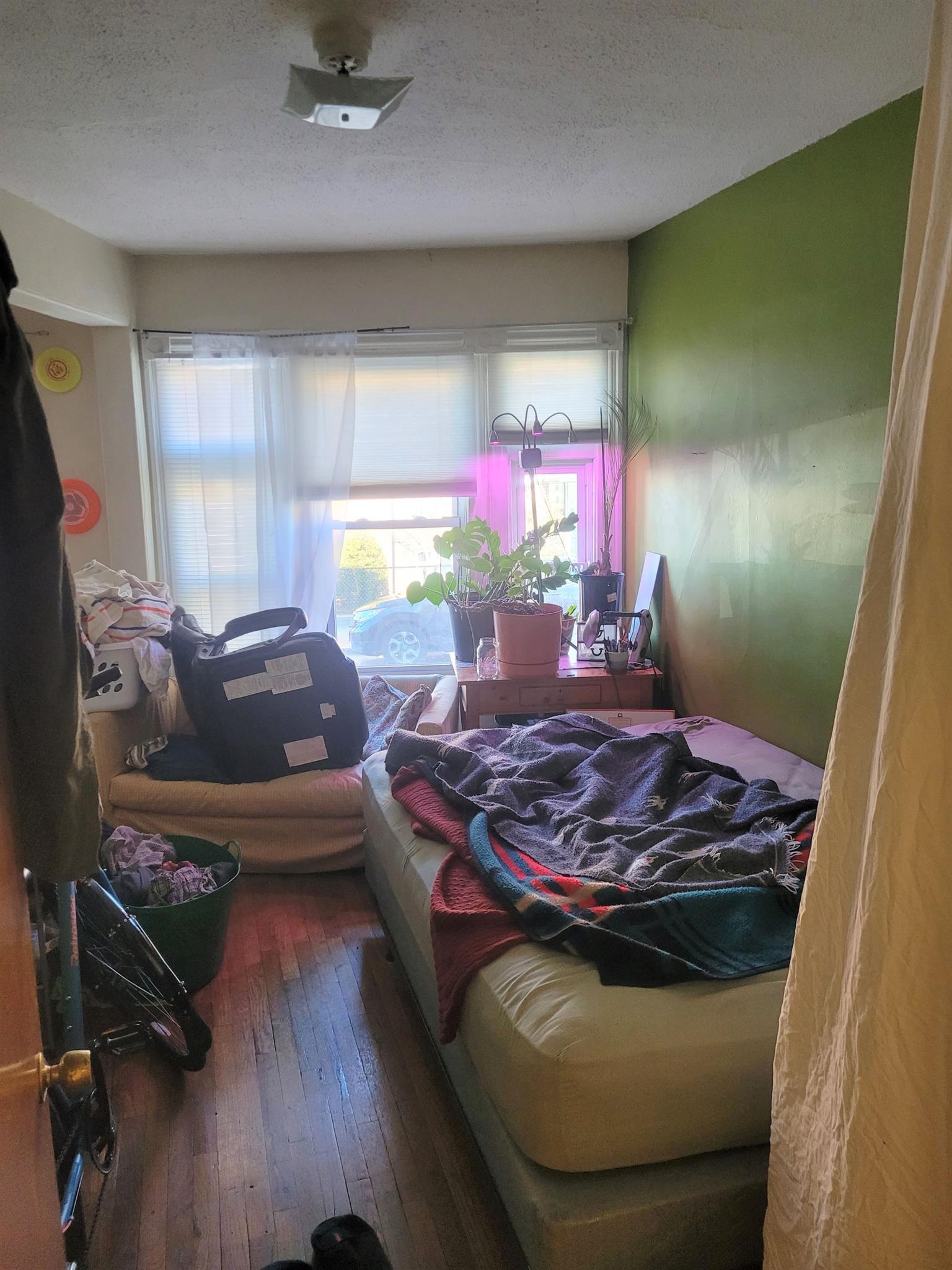 256 Summer St, Spring Hill