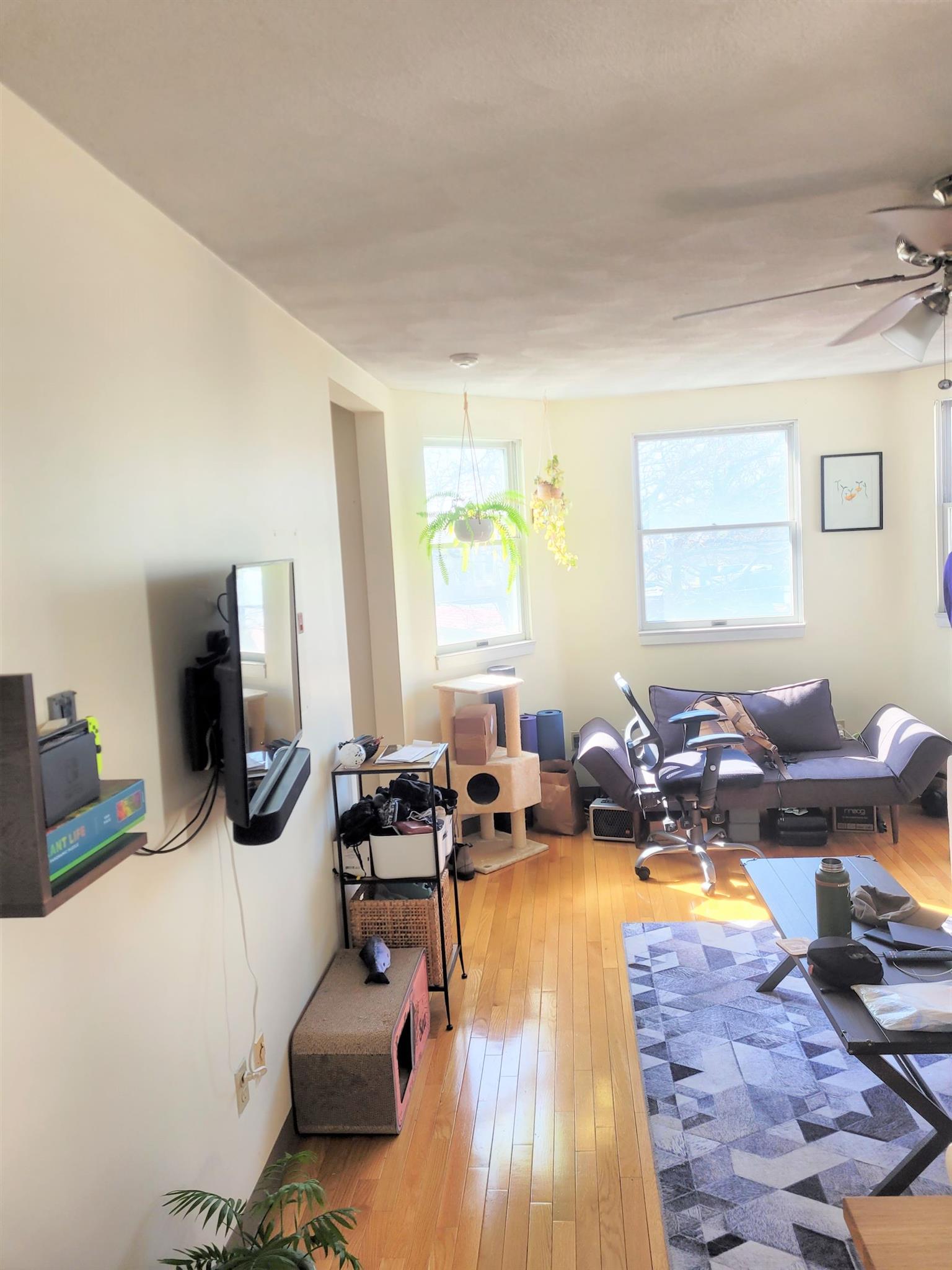 217 Holland St, Davis Square