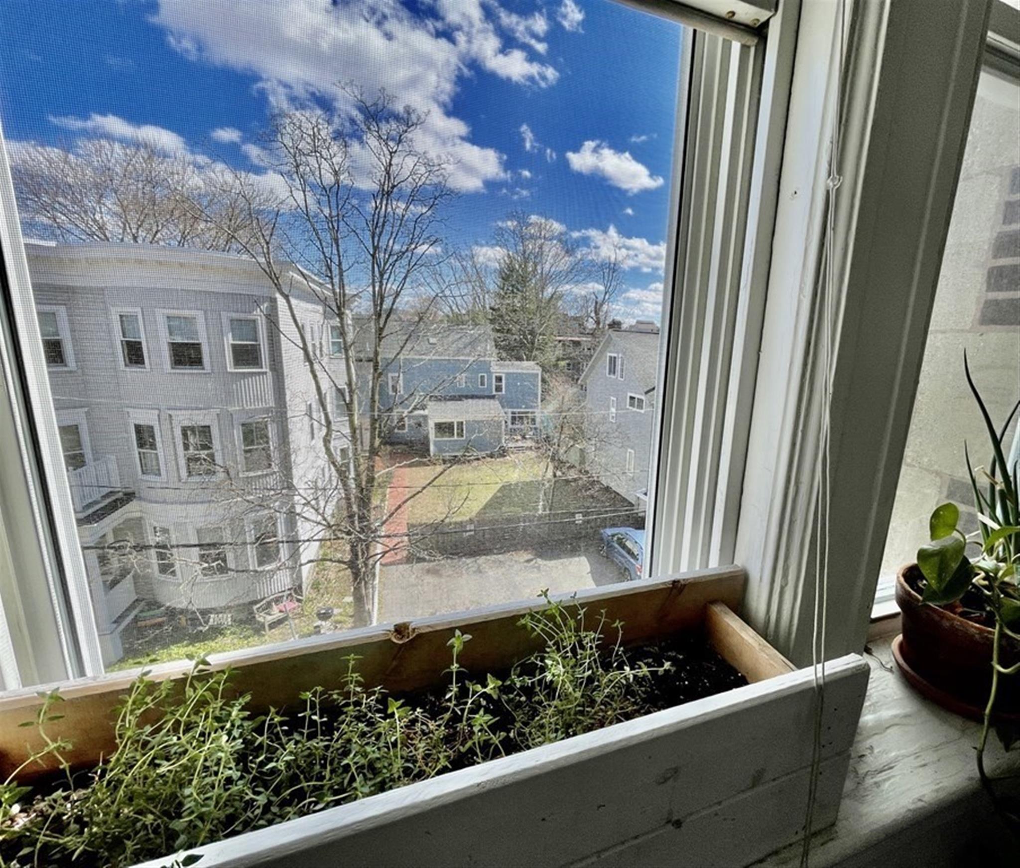 71 Martin St, Harvard Square