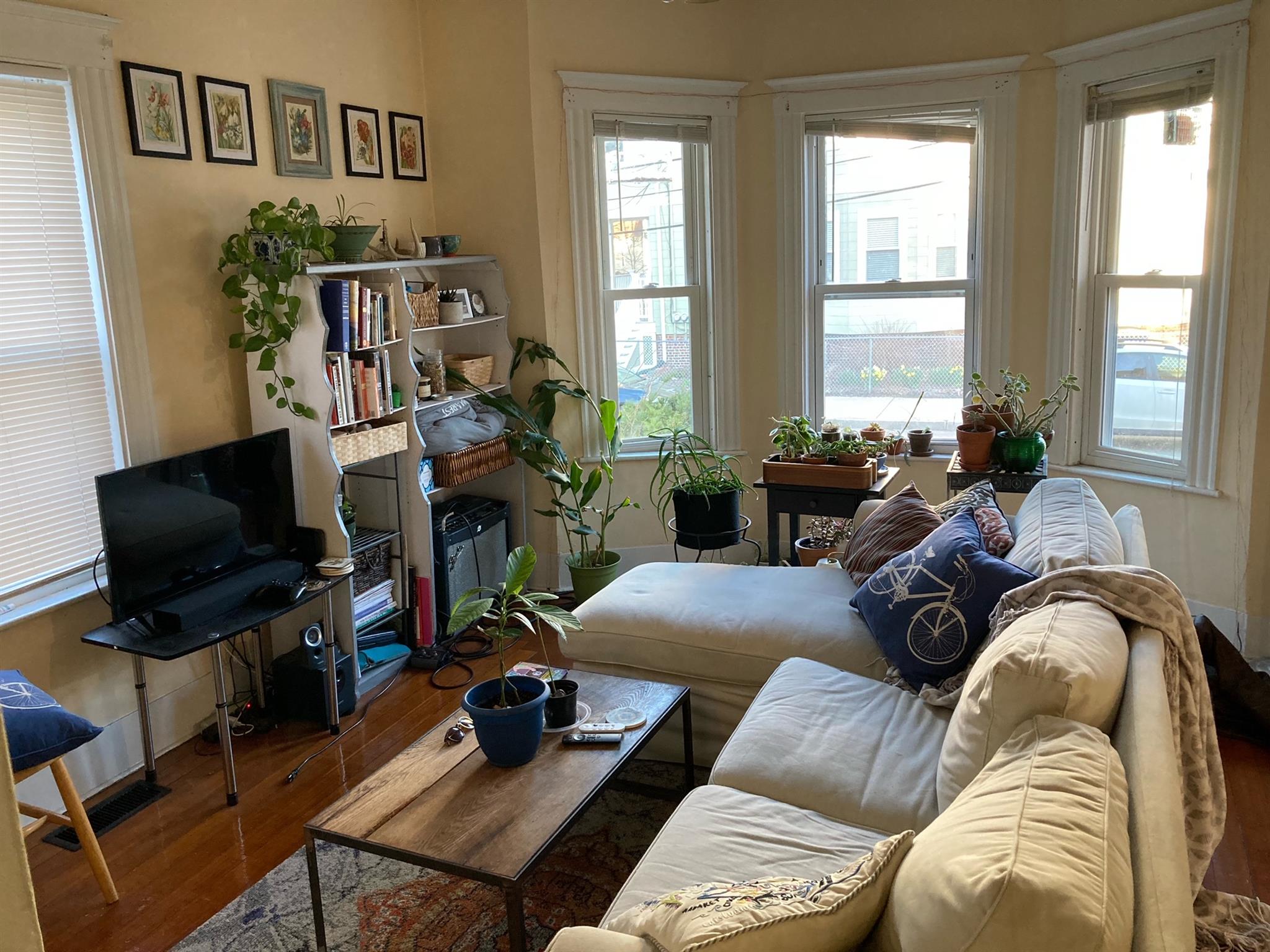 45 Morrison Ave, Davis Square