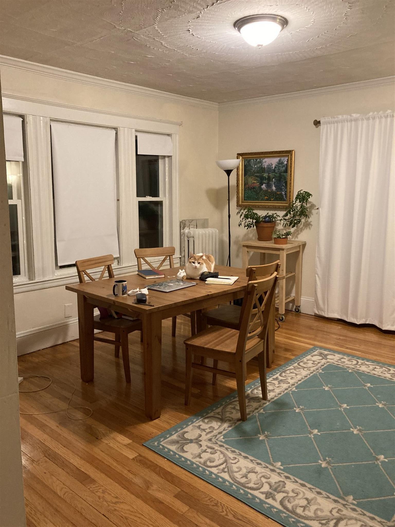 37 Edgar Ave, Magoun Square