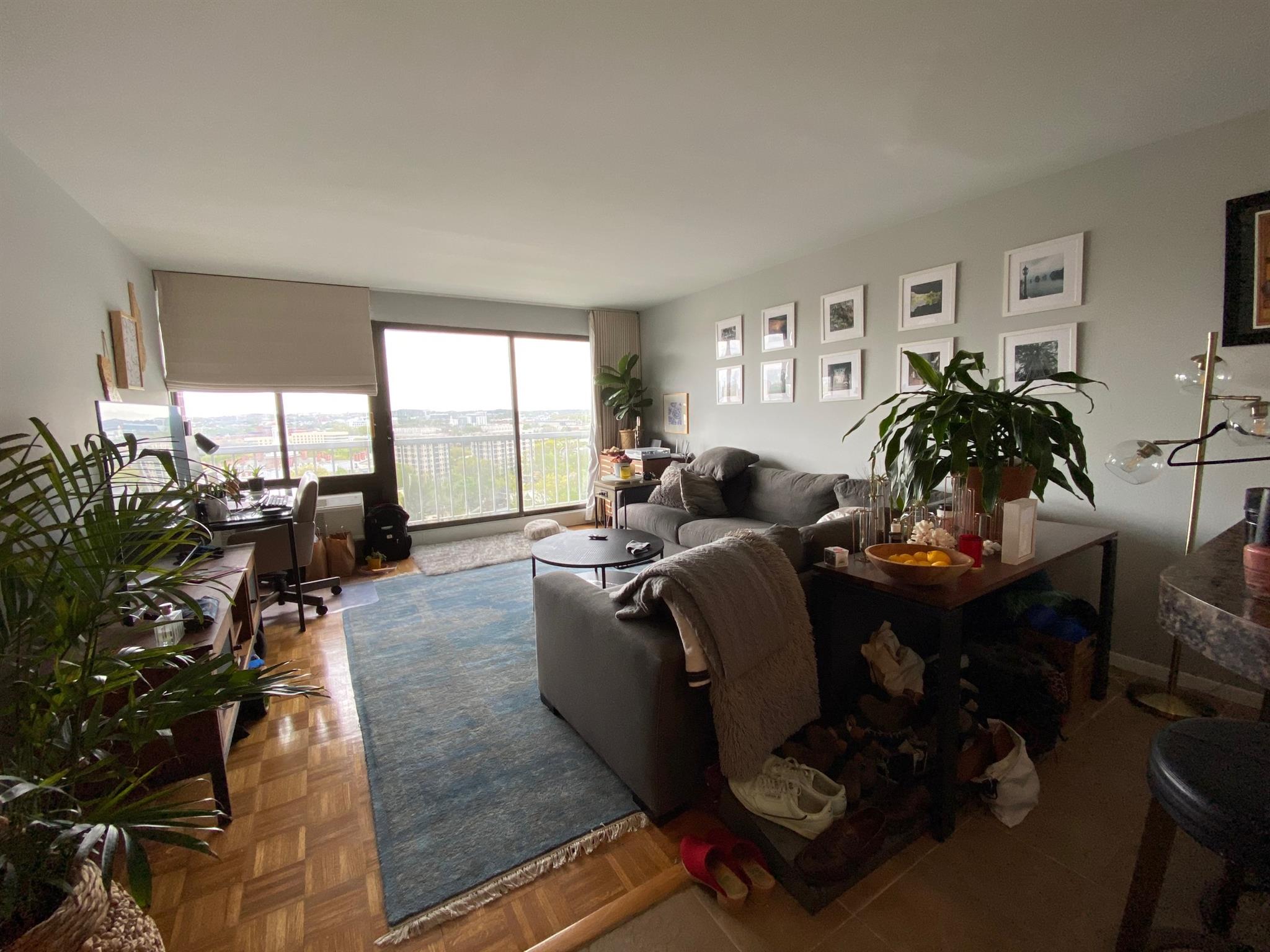 1105 Massachusetts Ave, Harvard Square