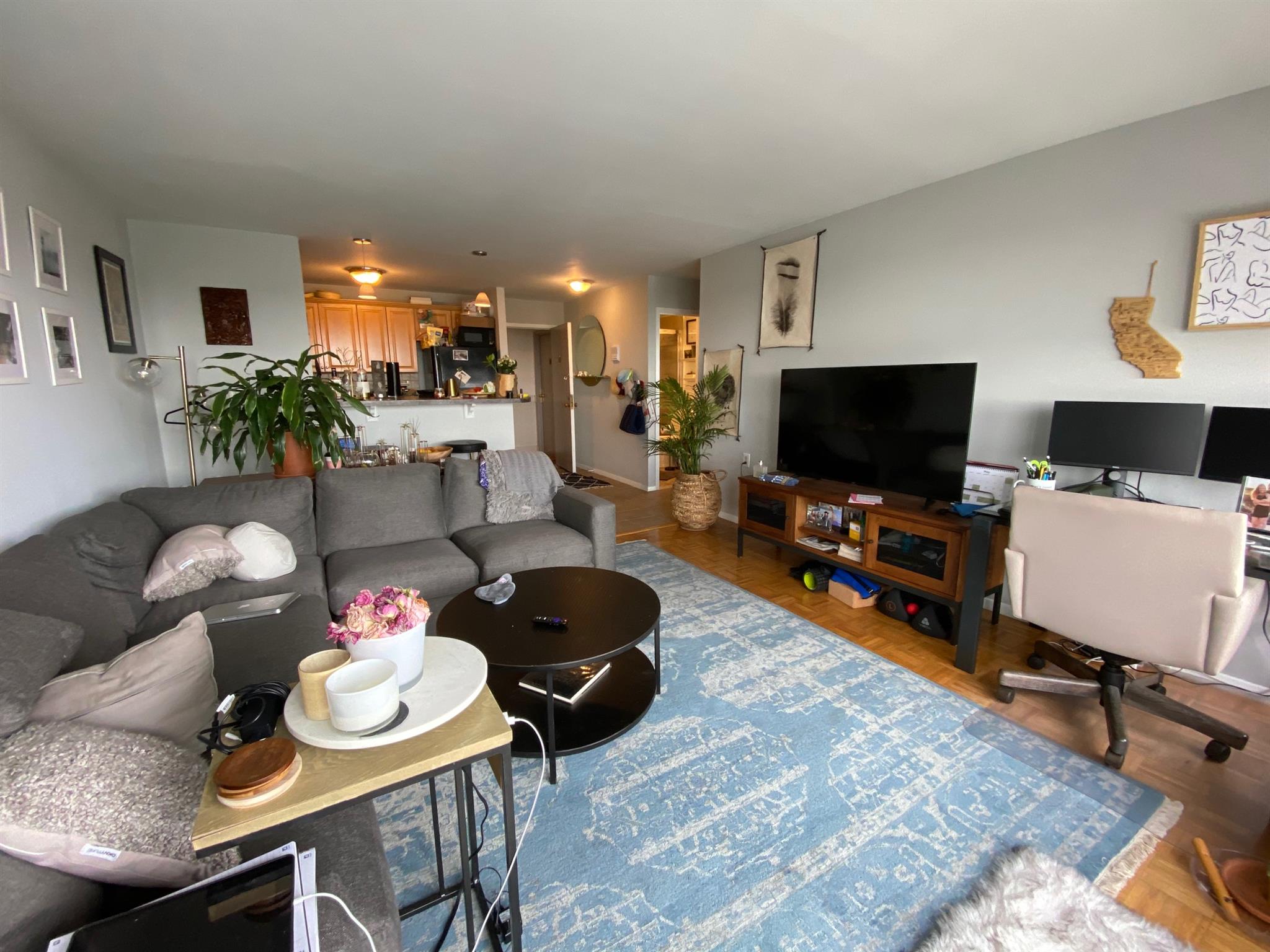 1105 Massachusetts Ave, Harvard Square