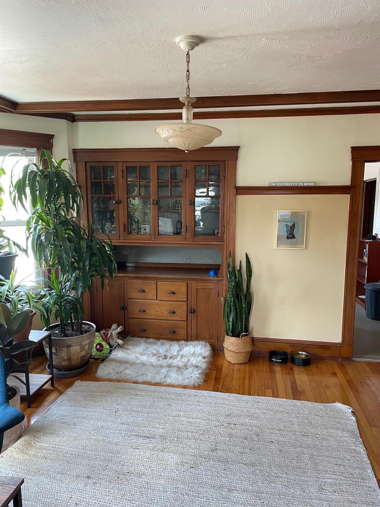 109 Orchard St, Davis Square