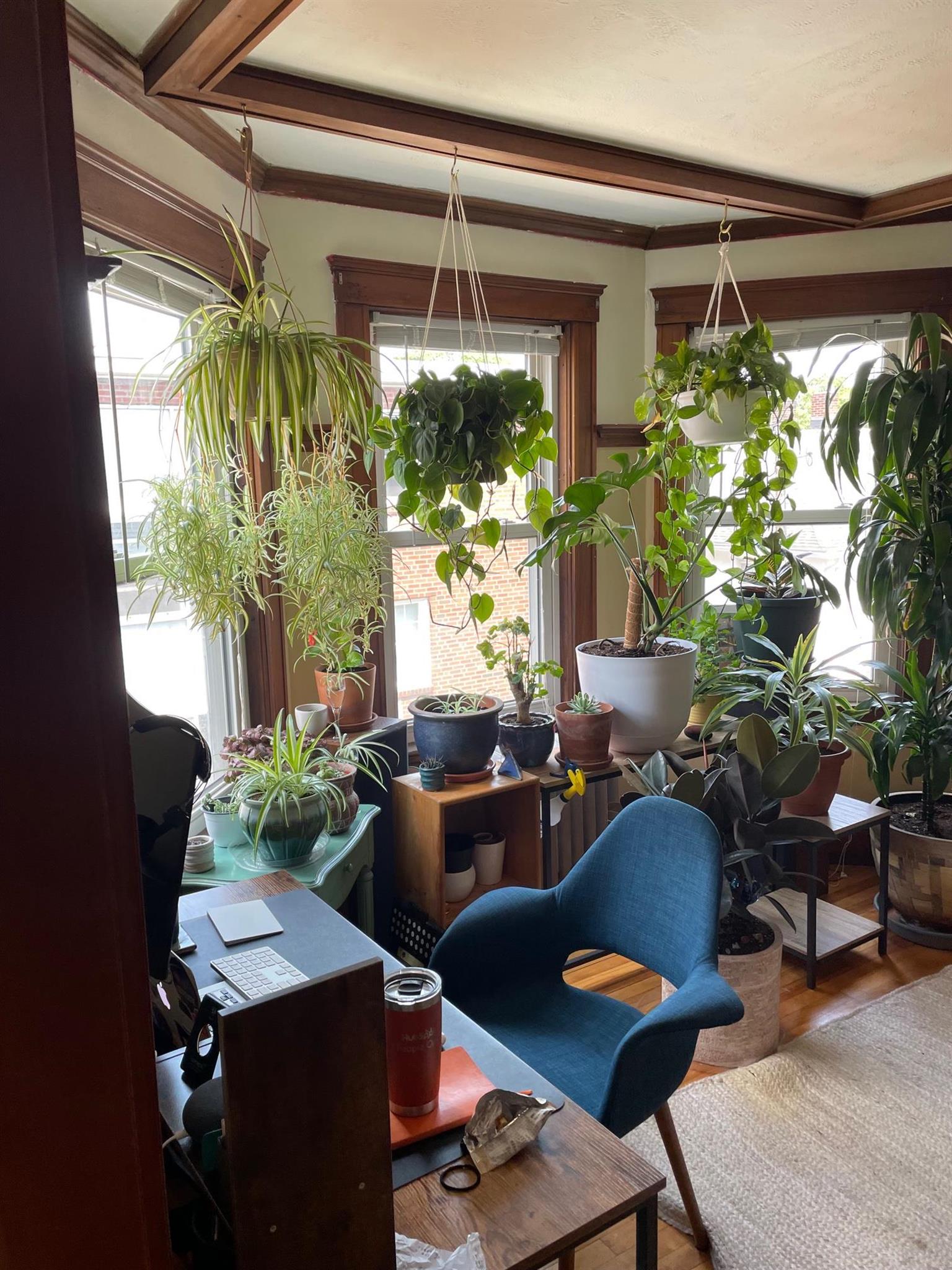 109 Orchard St, Davis Square