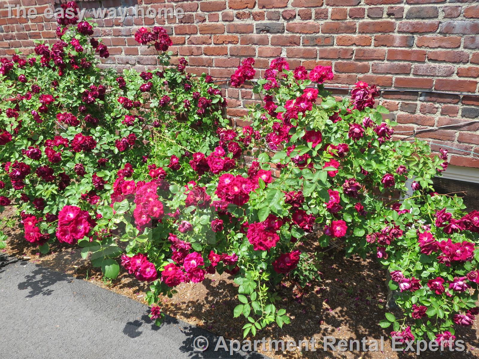 170 Broadway, Arlington