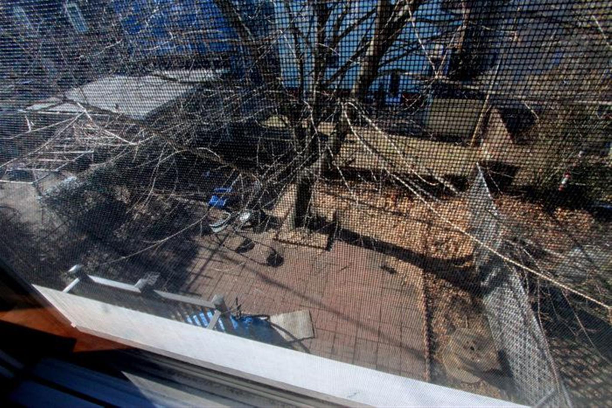 24 Rossmore St, Union Square