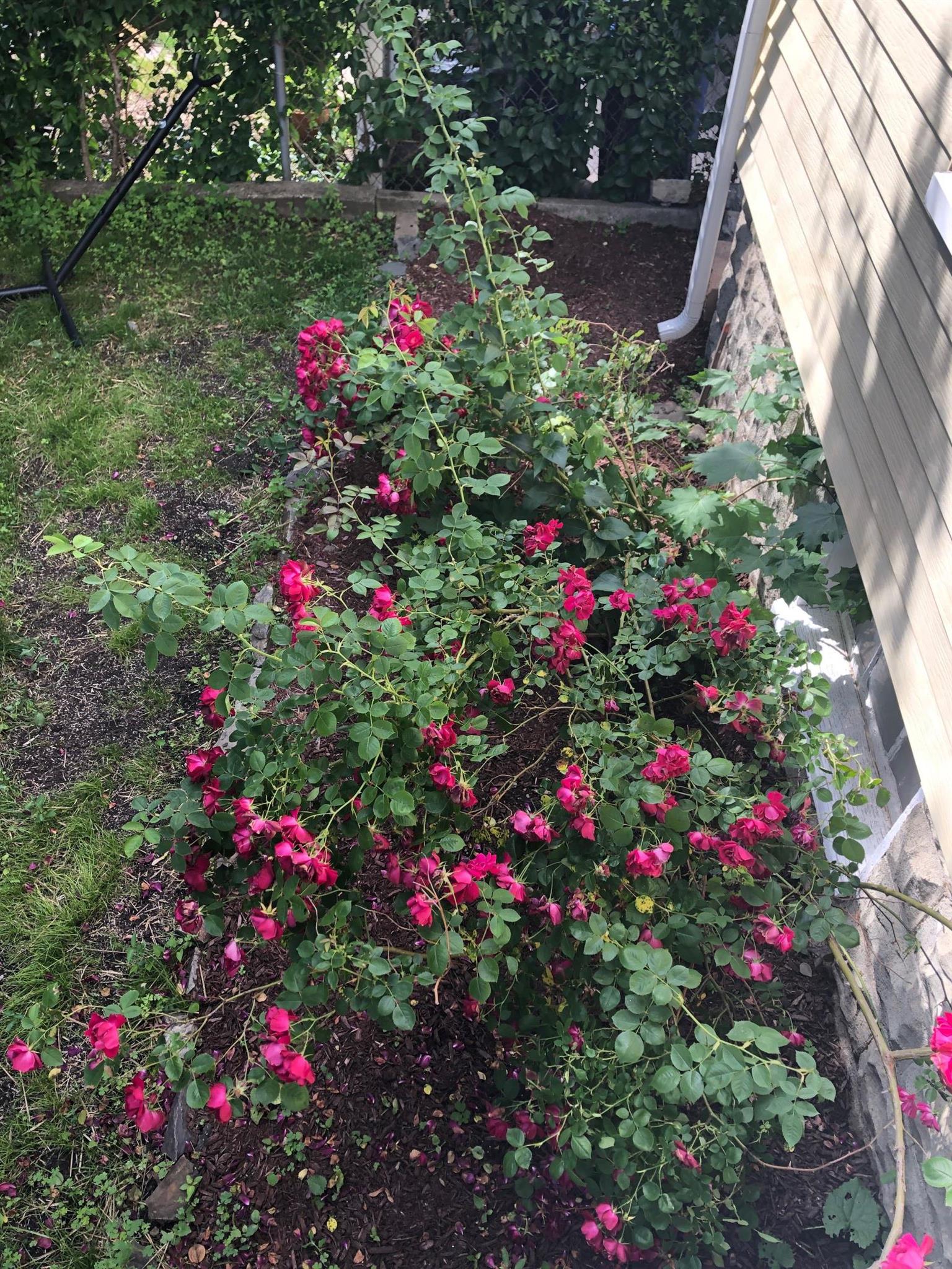 42 Electric Ave, Teele Square