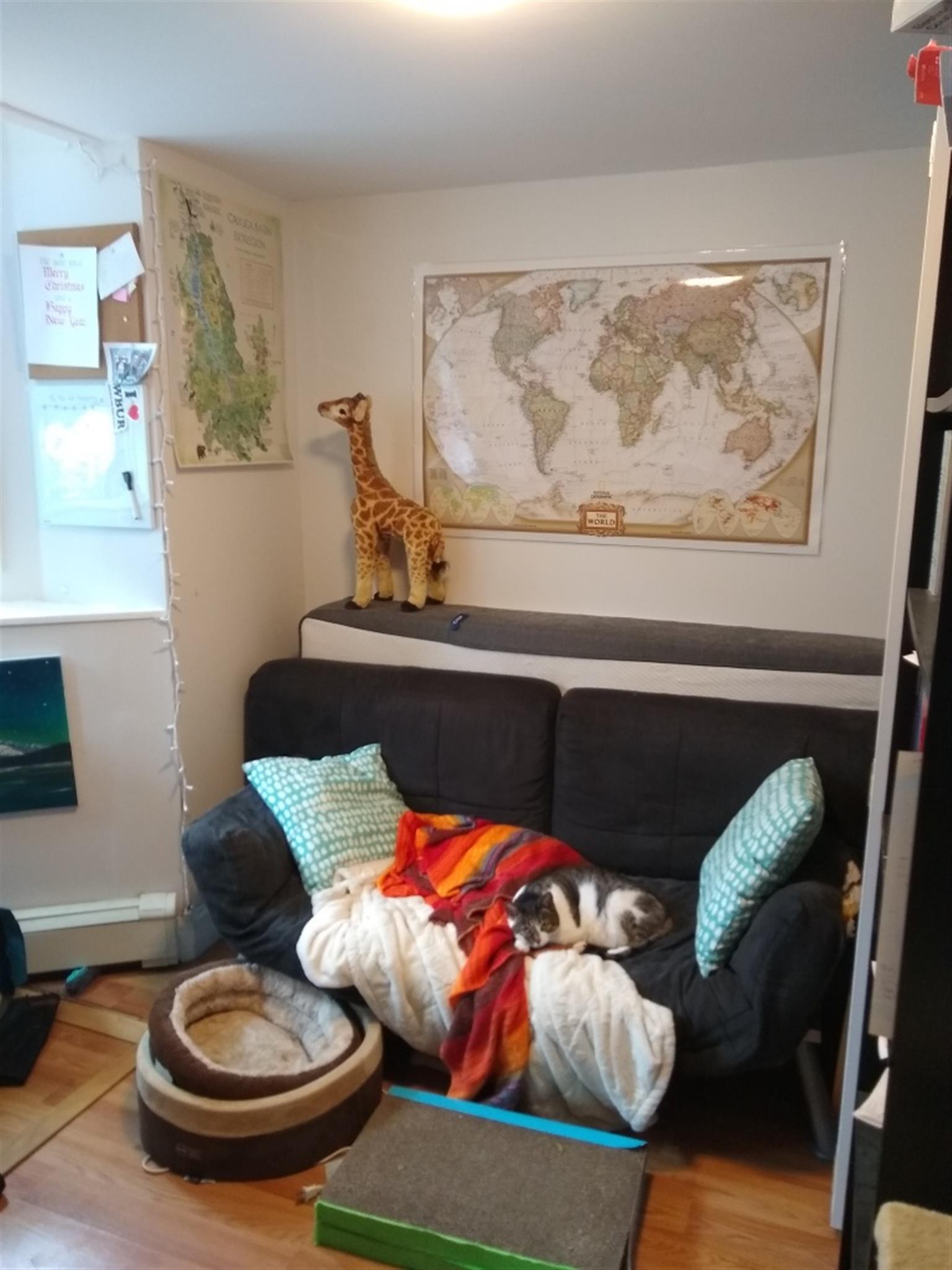 192 Central St, Winter Hill