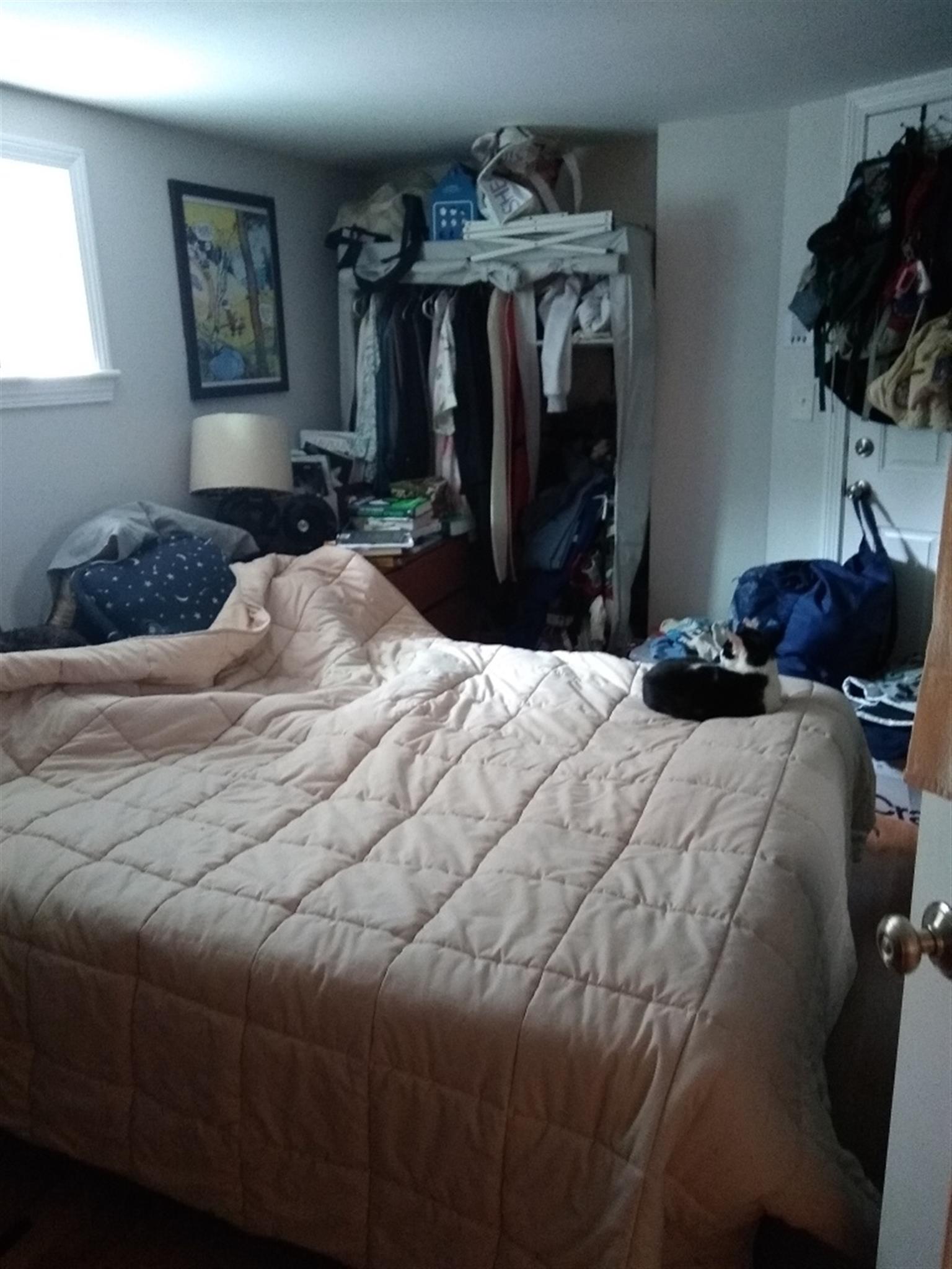 192 Central St, Winter Hill