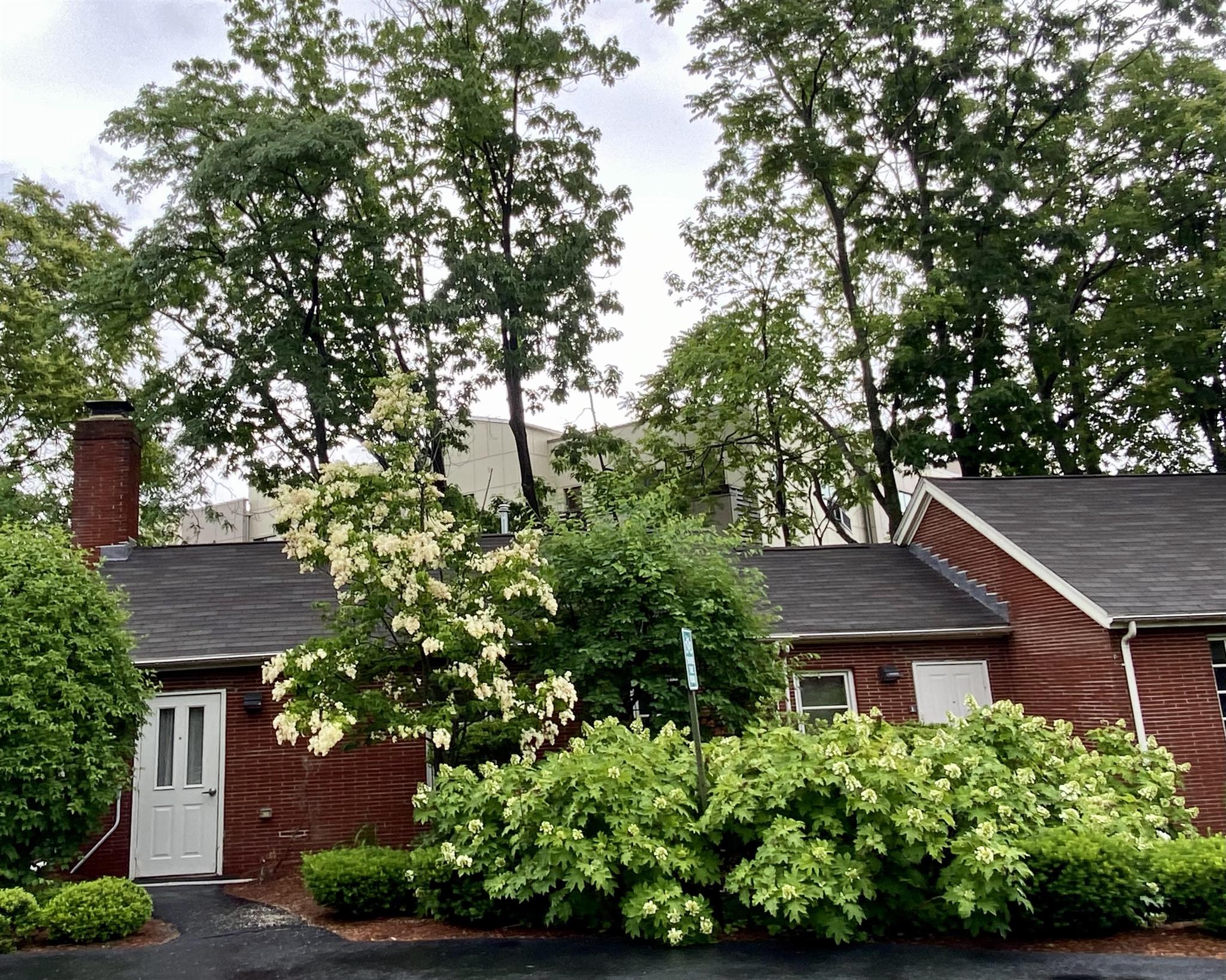 312 Rindge Ave, North Cambridge