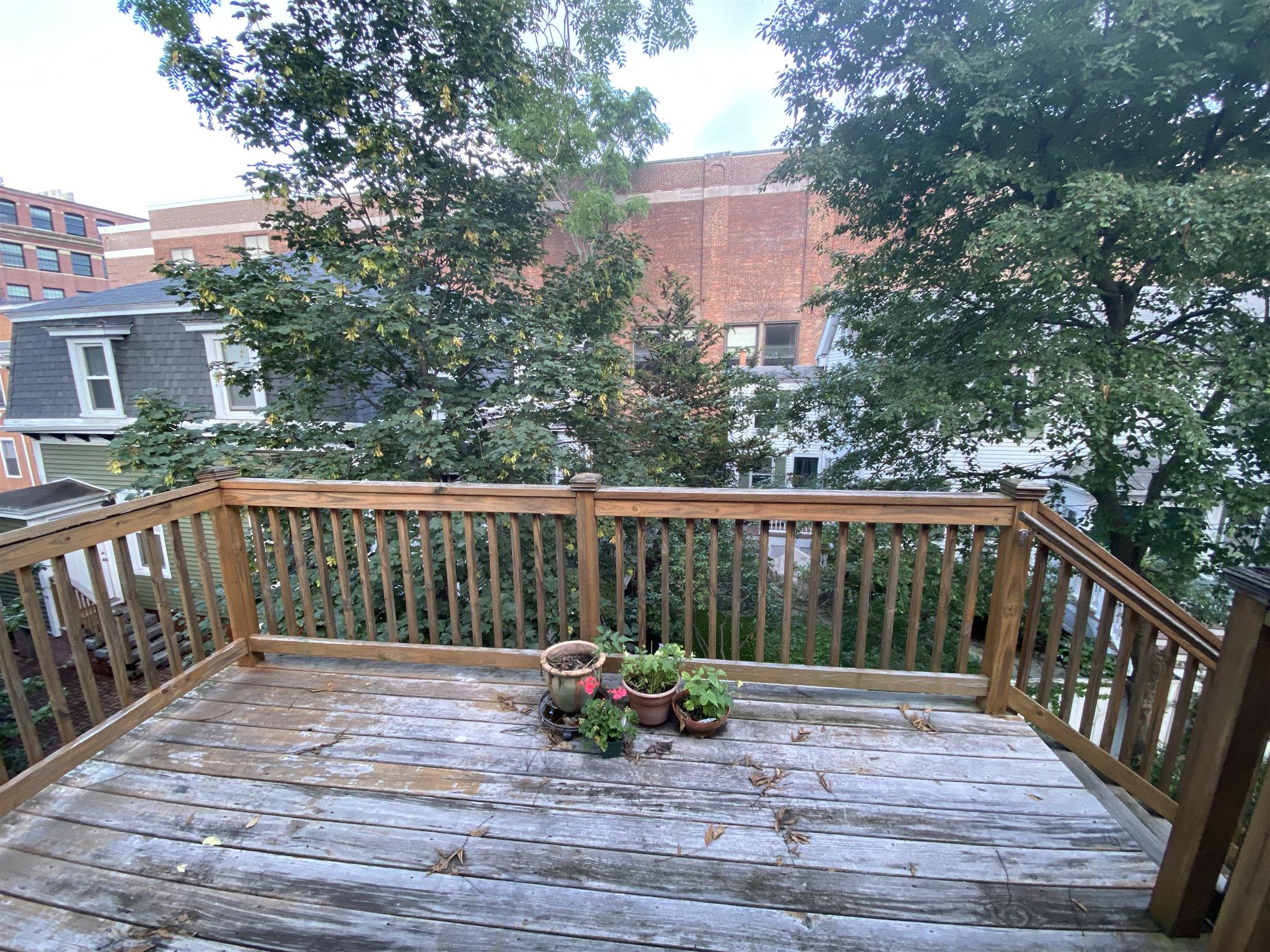 15 Boardman St, Central Square