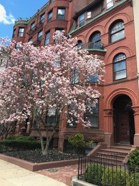 291 Commonwealth Ave, Back Bay