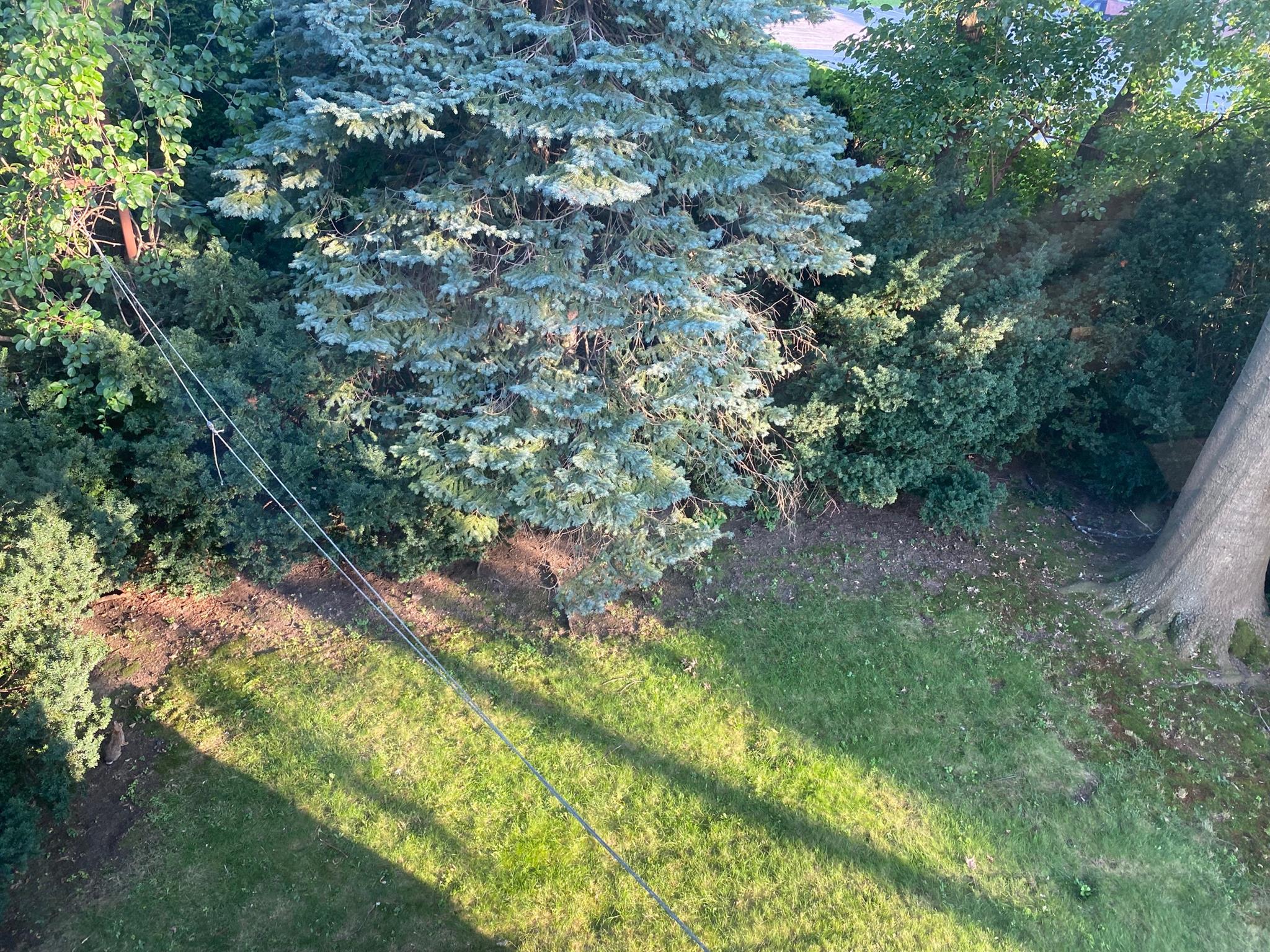 76 Endicott Ave, Teele Square