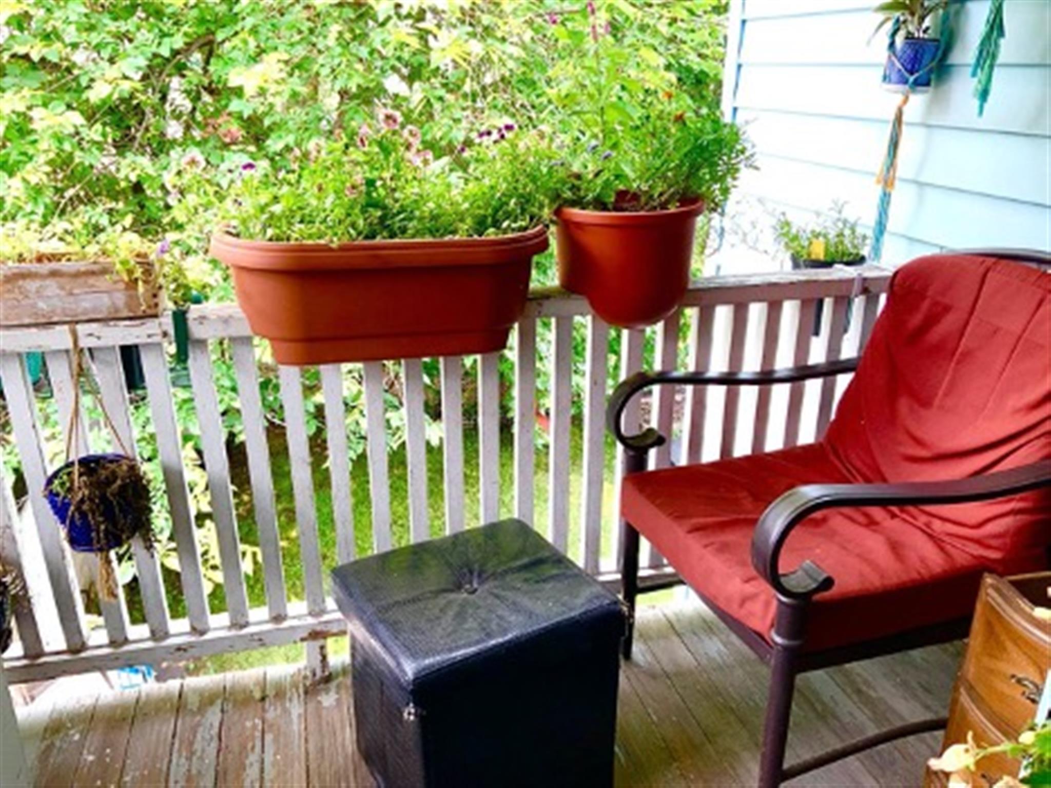 48 Cleveland, Arlington