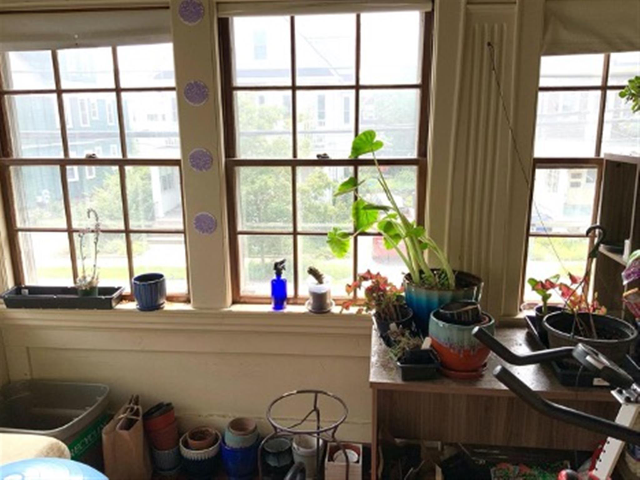 48 Cleveland, Arlington