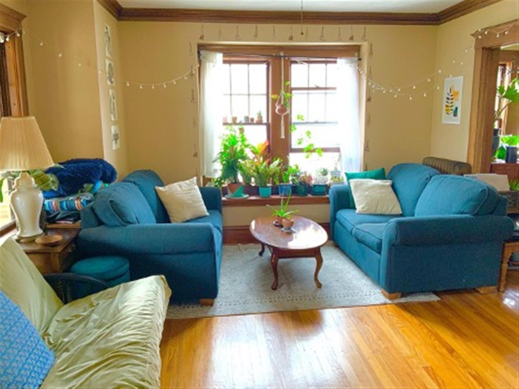 48 Cleveland, Arlington