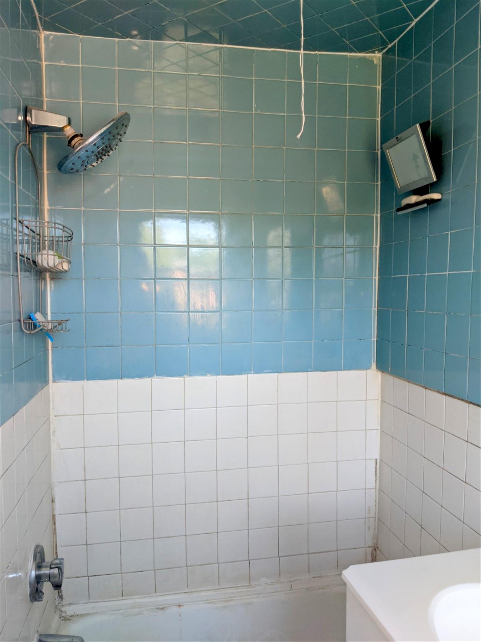 102 Willow, Davis Square