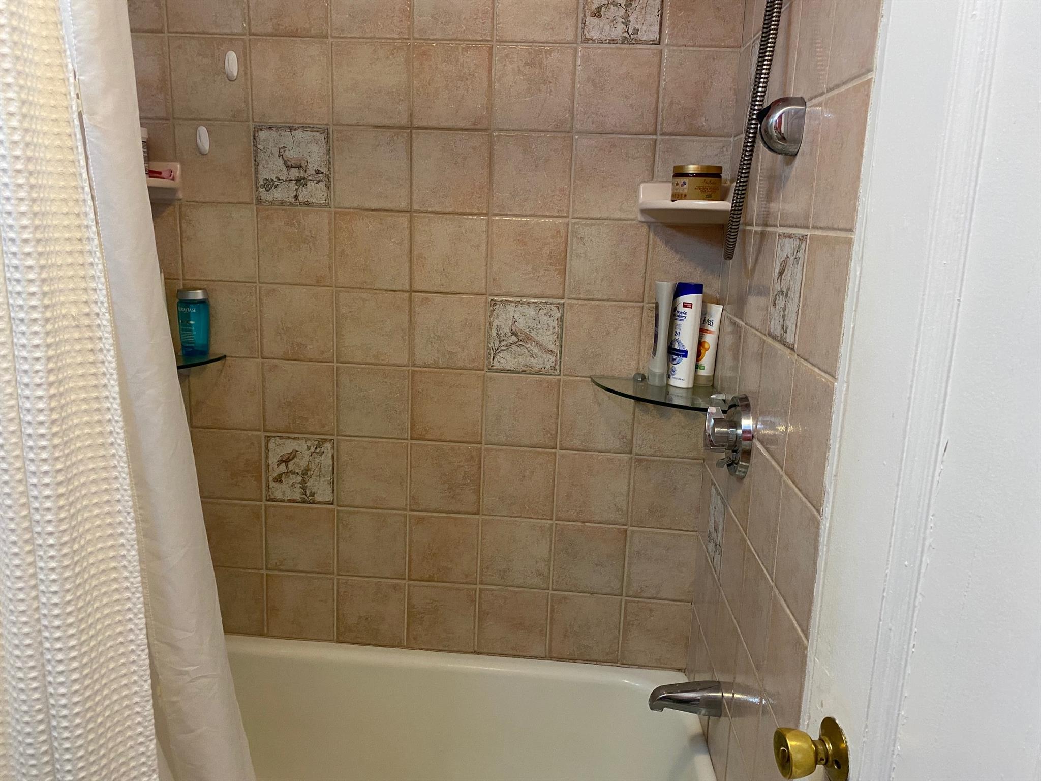 38 Dana St, Harvard Square