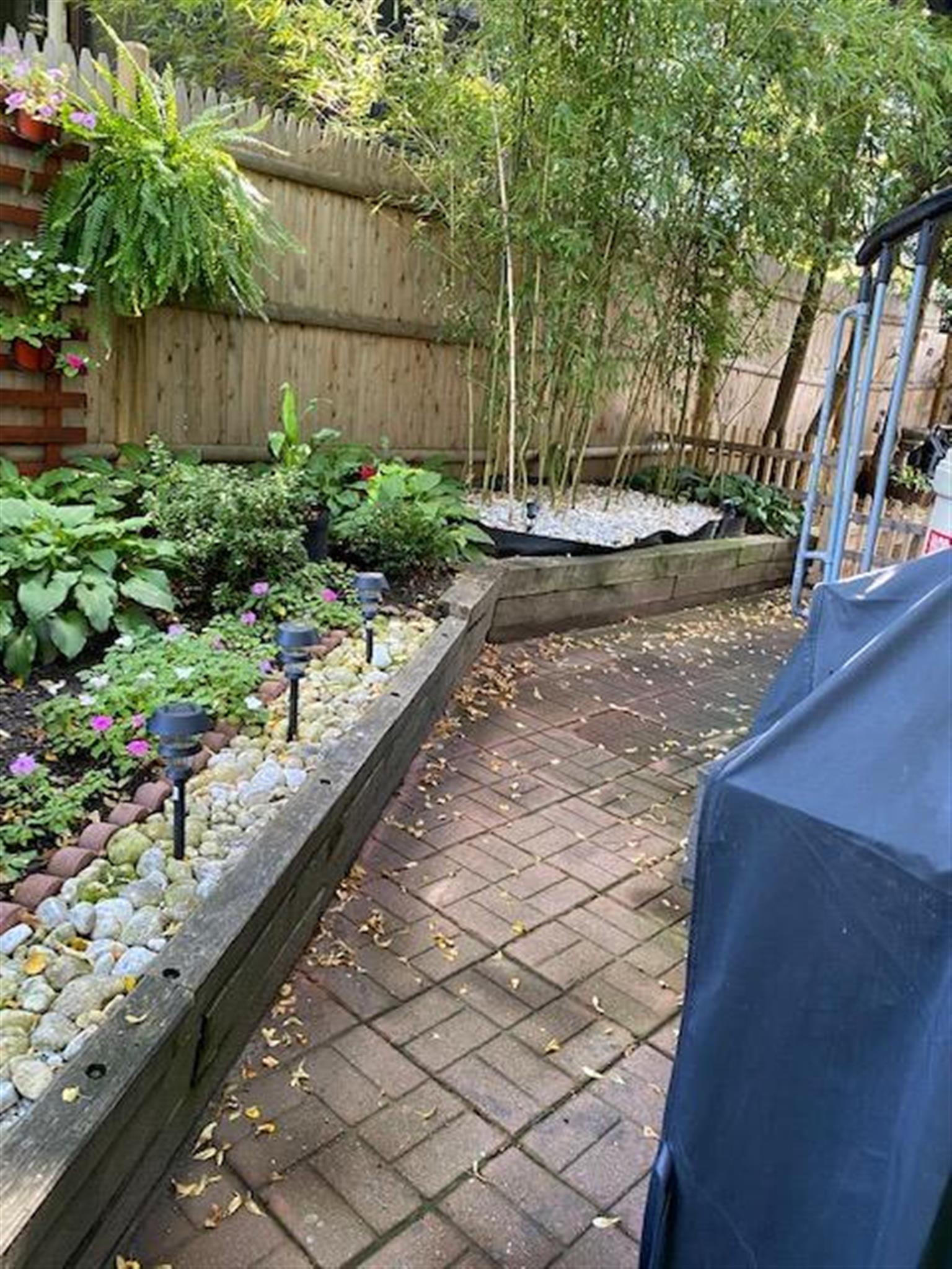 38 Dana St, Harvard Square