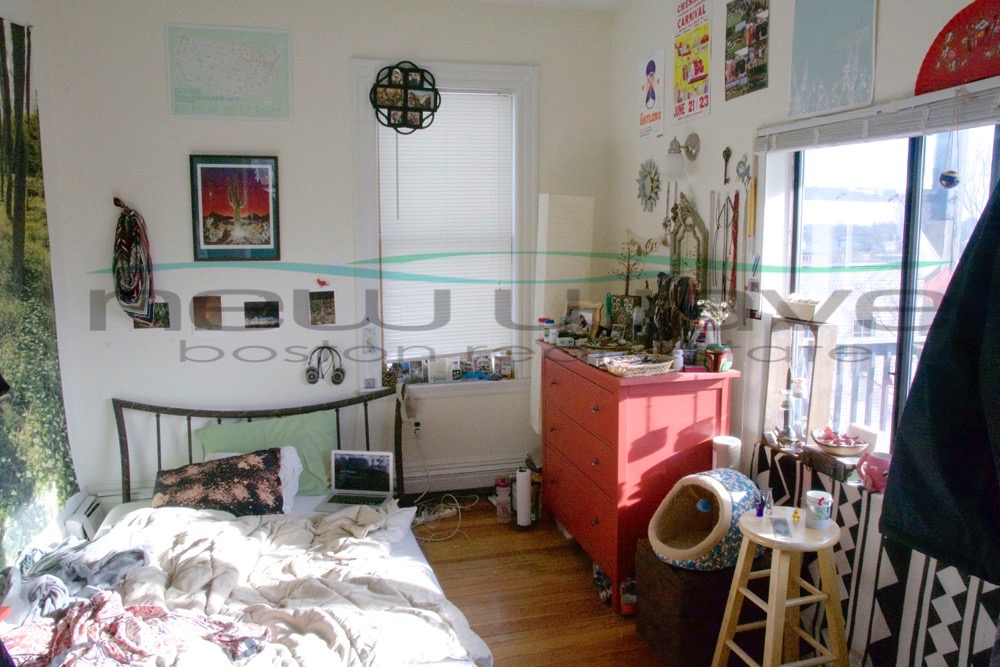 64 Fisher Ave, Mission Hill