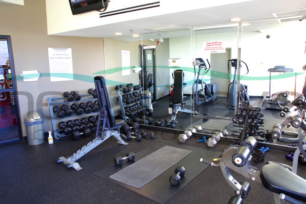 12 Stoneholm St, Fenway