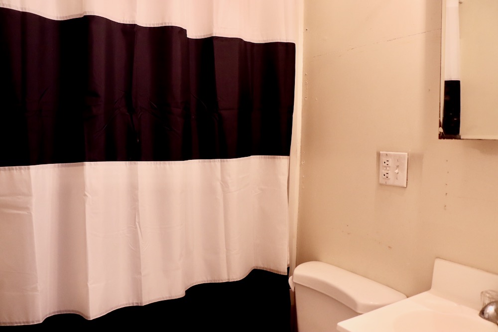 36 Anderson St, Beacon Hill