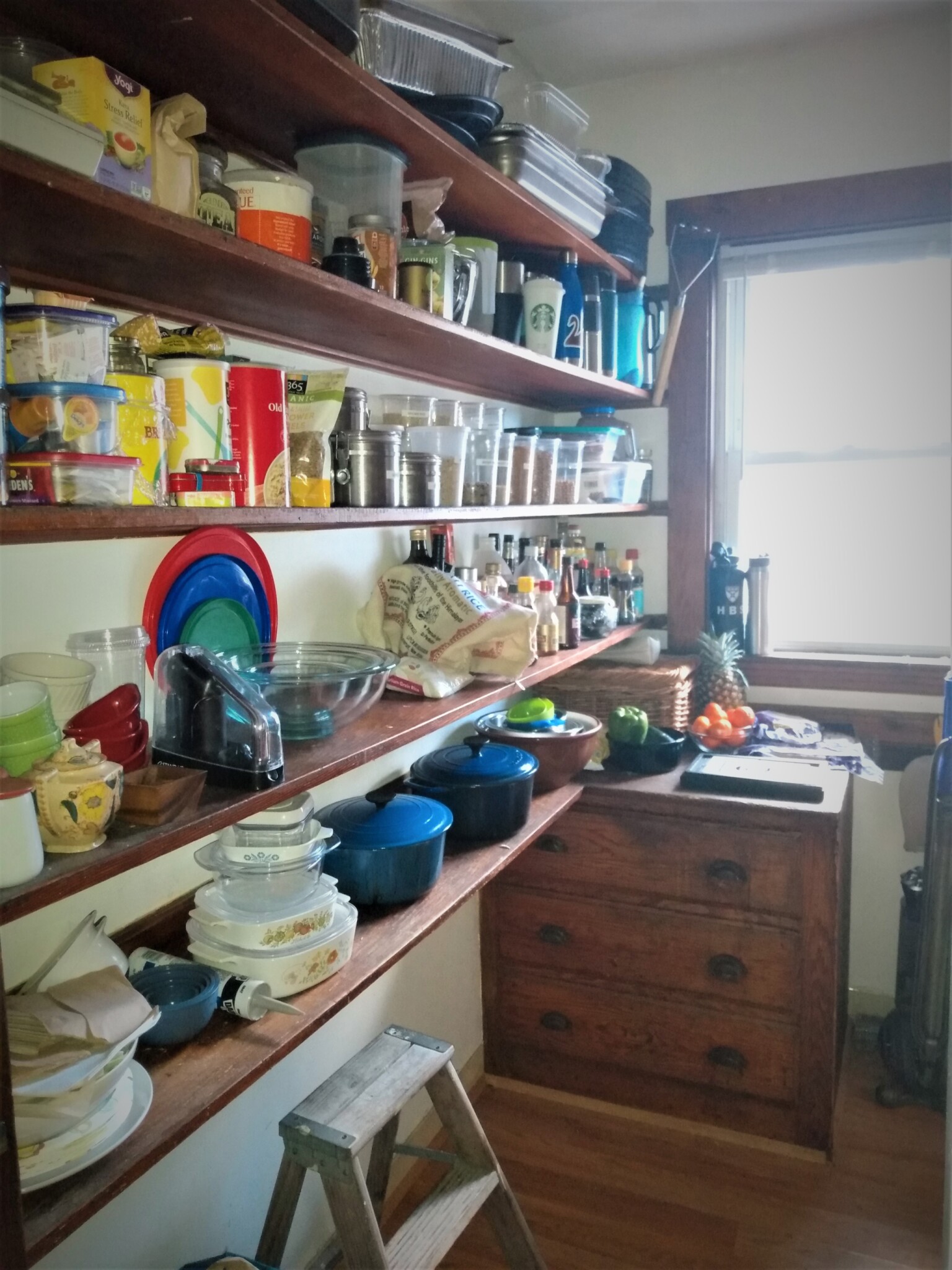 419 Huntington Ave, Jamaica Plain