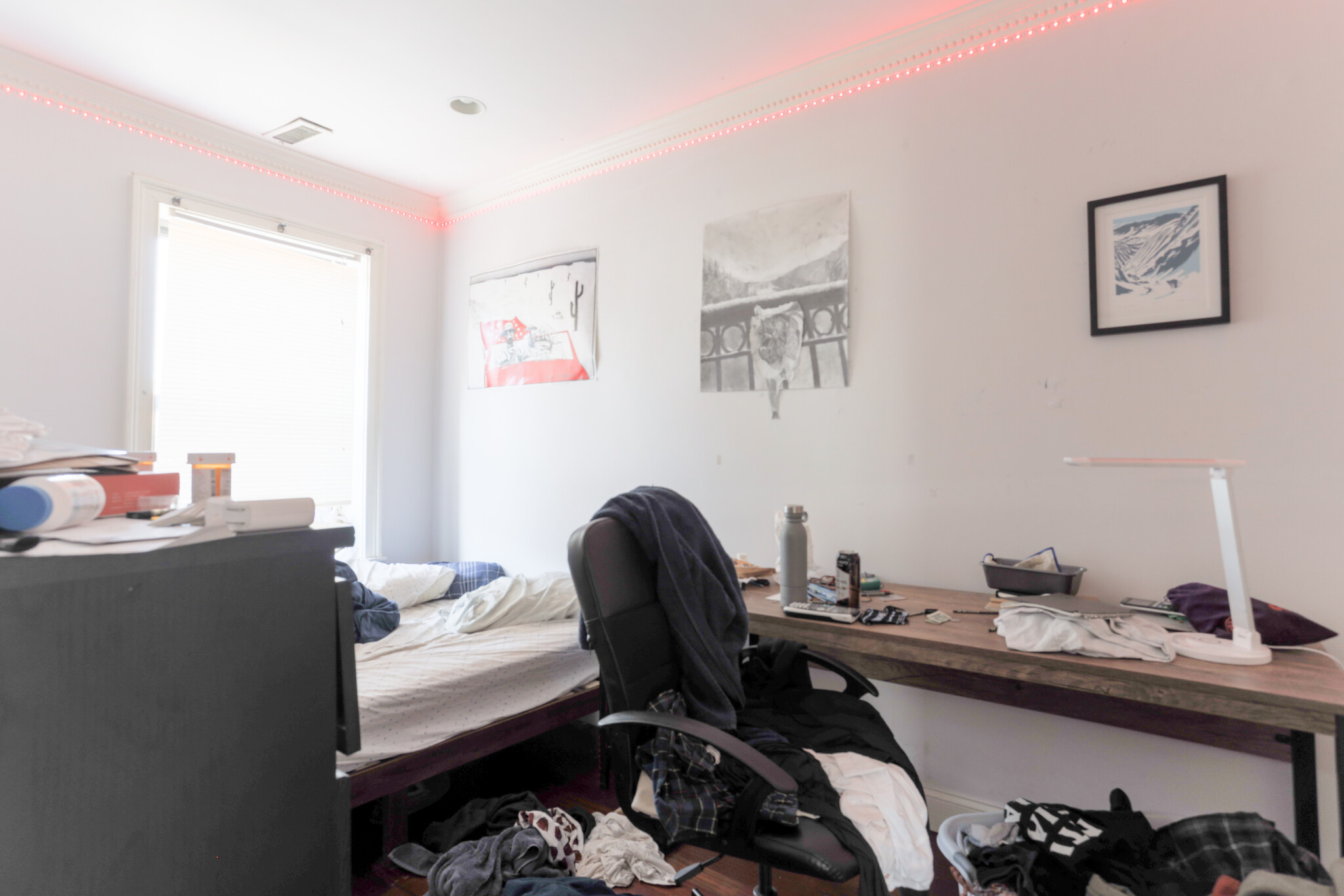 31 Cunard St, South End