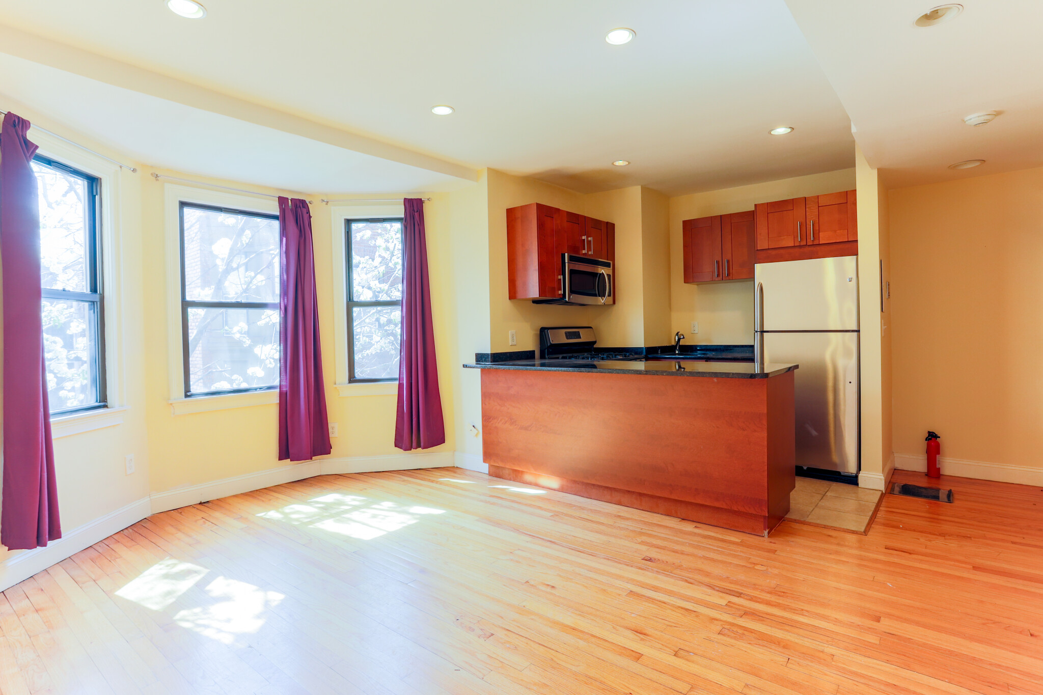 31 Cunard St, South End