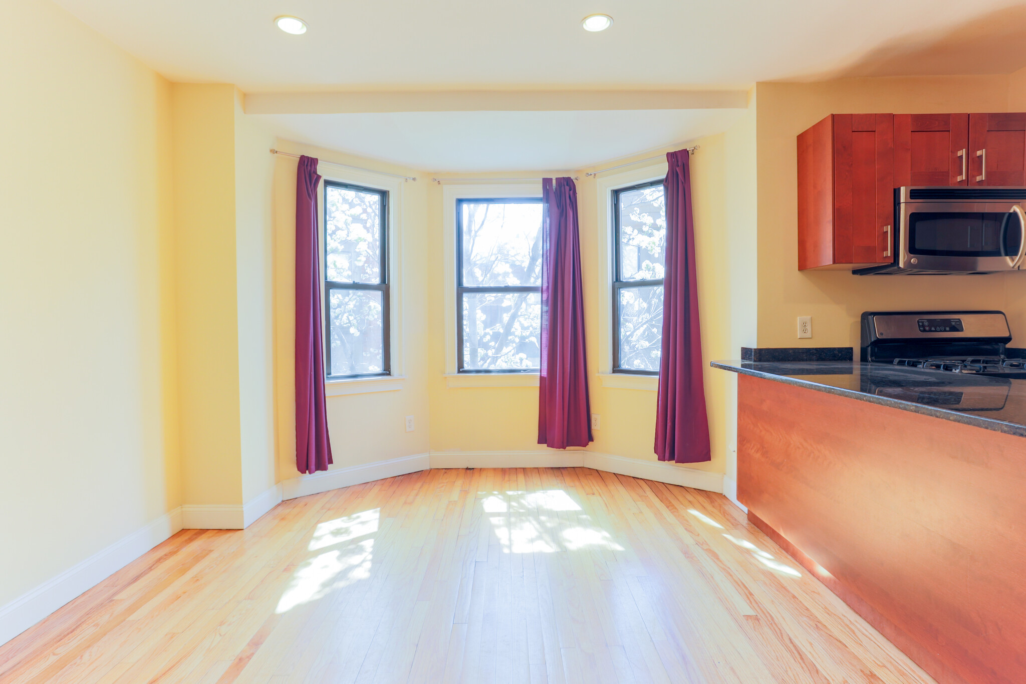 31 Cunard St, South End