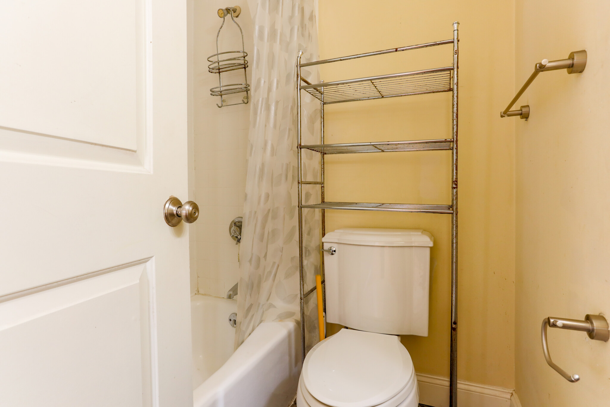 31 Cunard St, South End